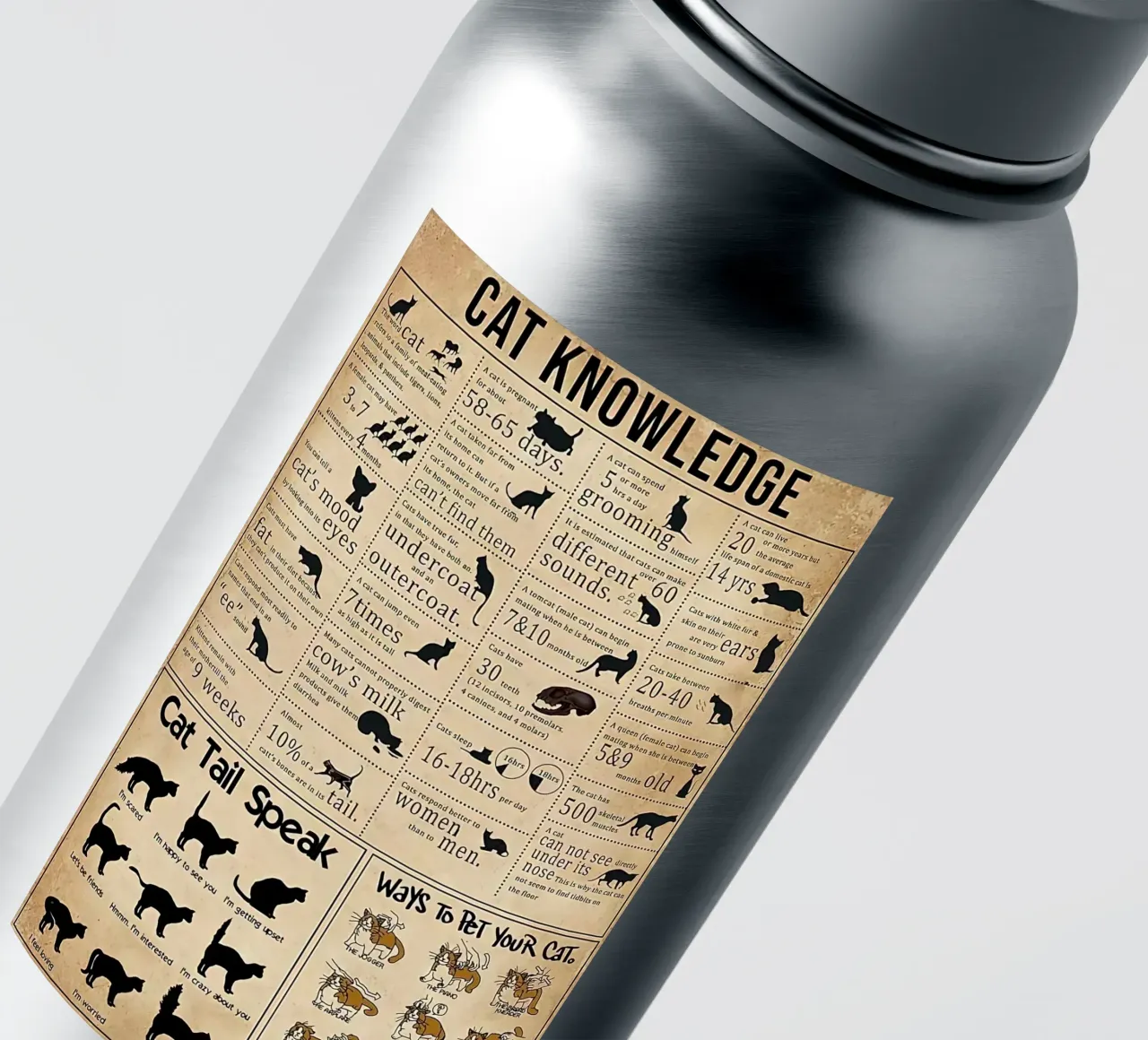 Cat Knowledge sticker by Maritiknowled