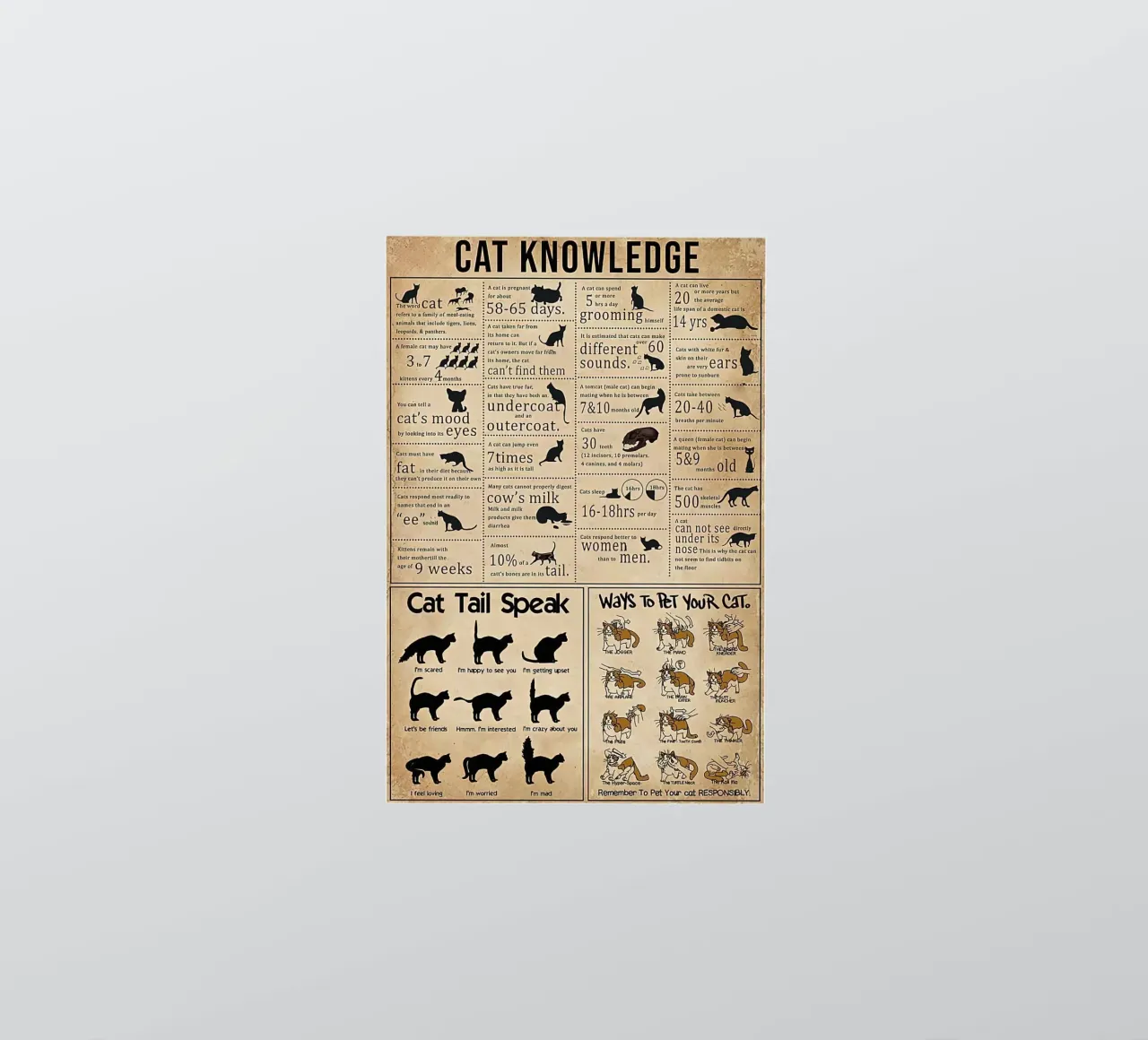 Cat Knowledge sticker by Maritiknowled