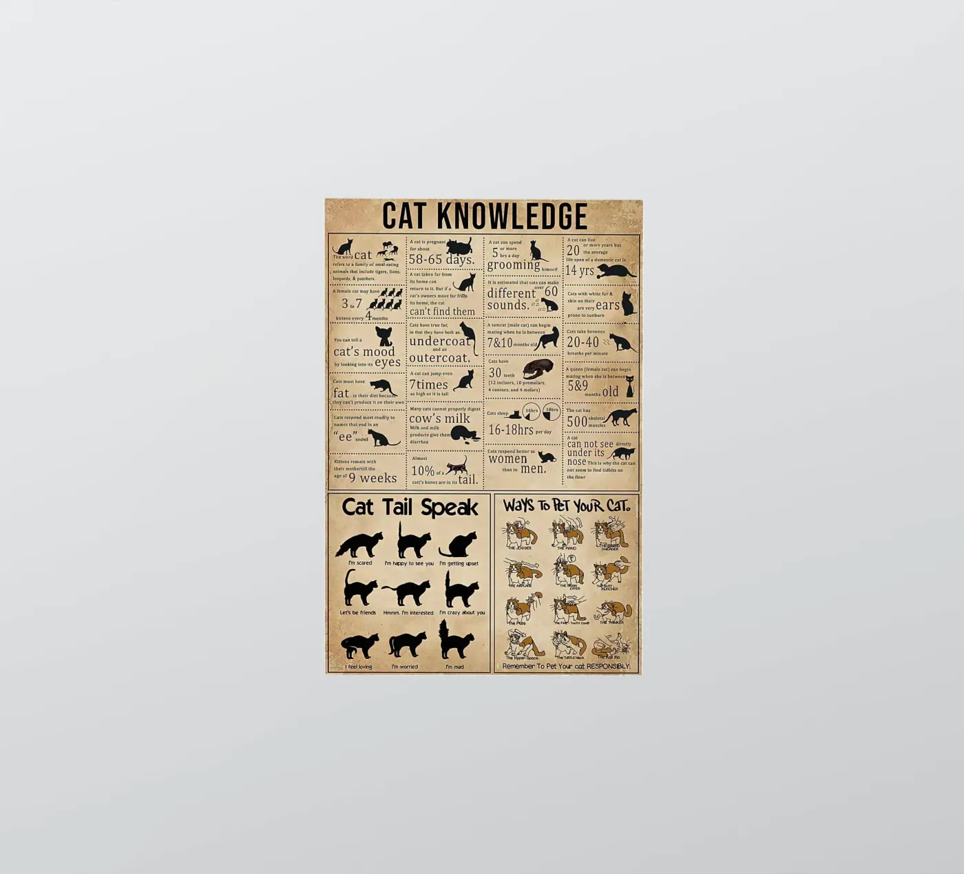 Cat Knowledge sticker by Maritiknowled