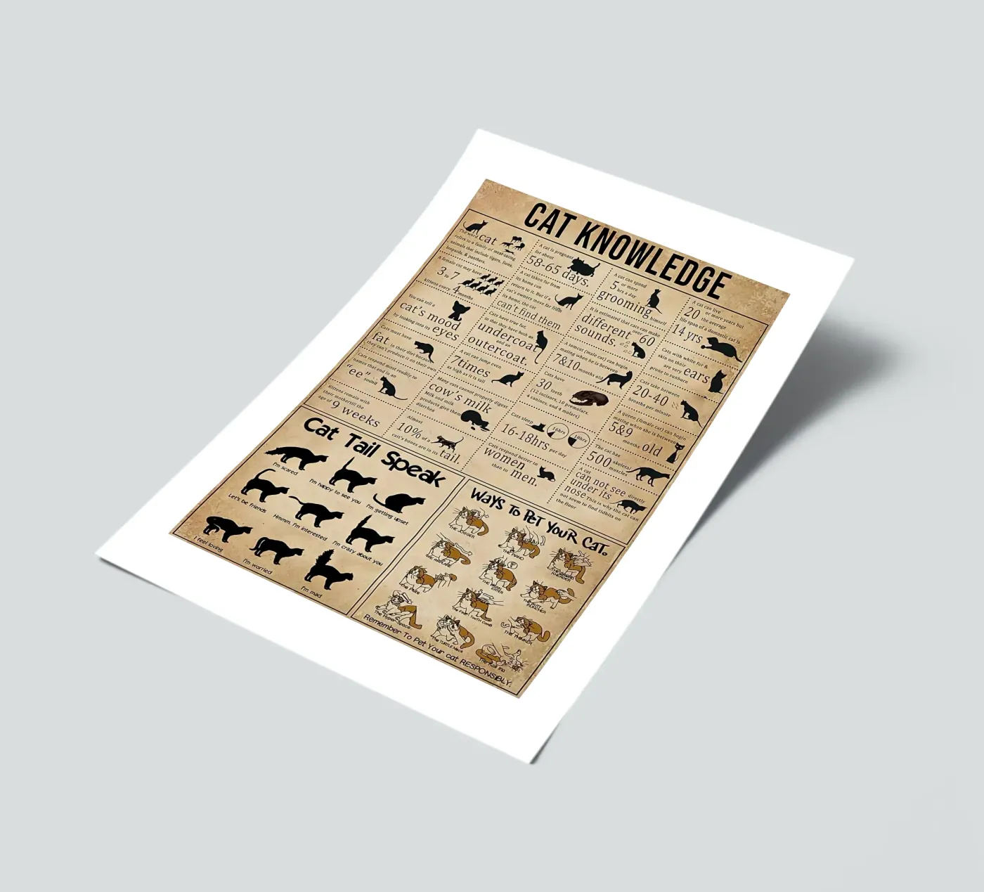 Katzenwissen Stickerbogen von Maritiknowled