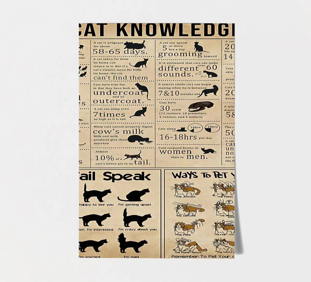 Cat Knowledge sticker sheet by Maritiknowled