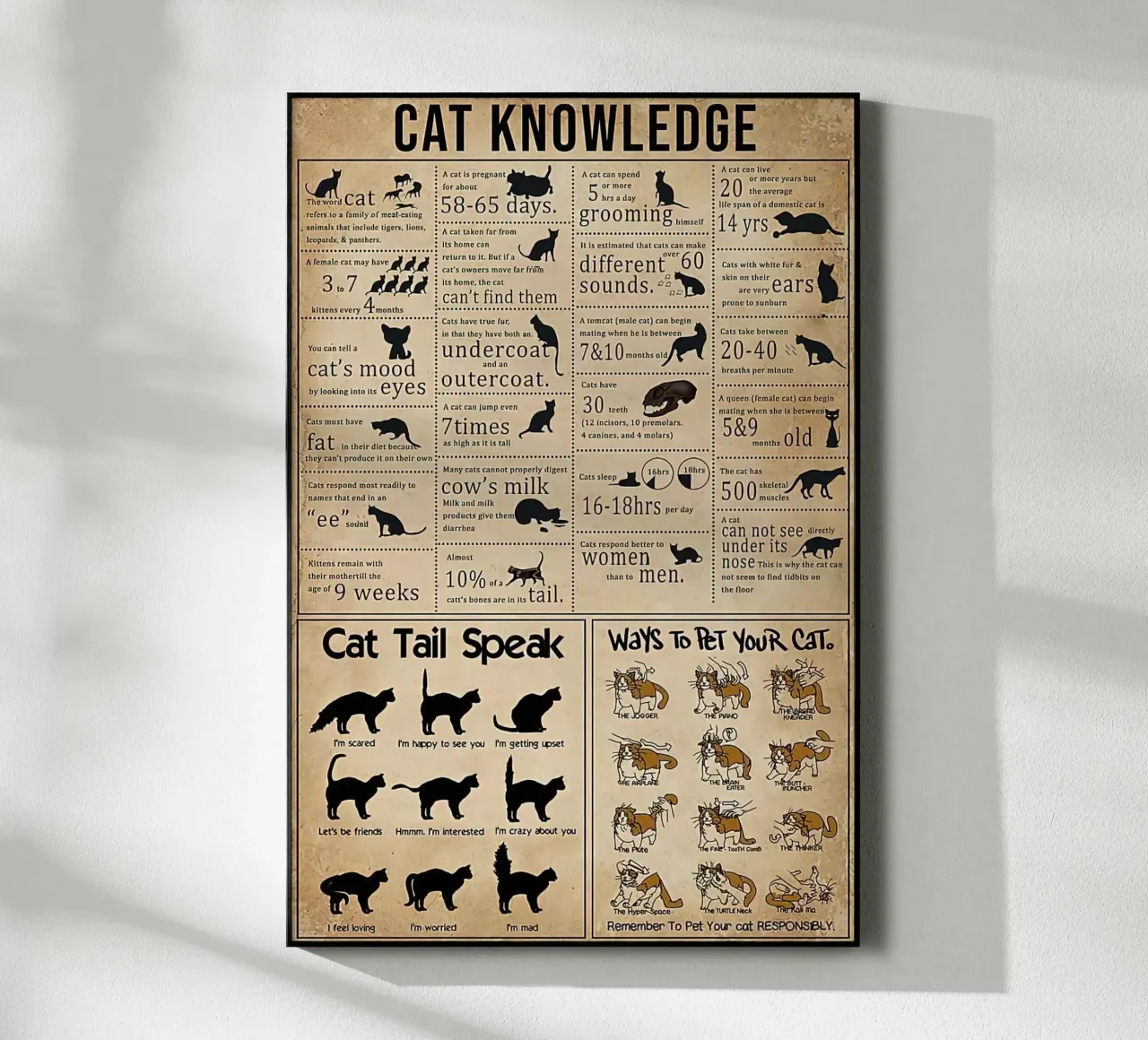 Cat Knowledge plexiglas de Maritiknowled