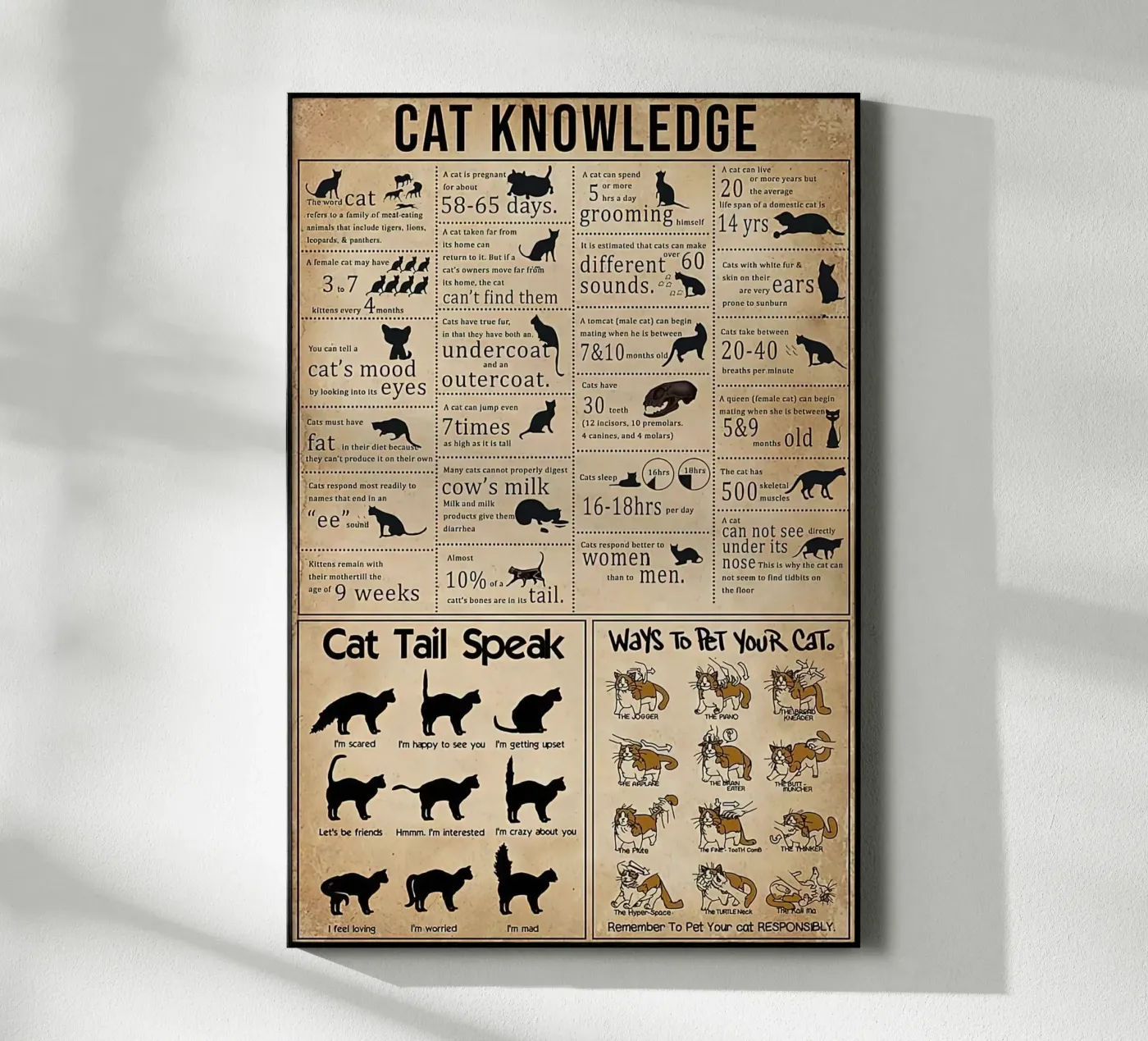 Cat Knowledge Acryl-Glas von Maritiknowled