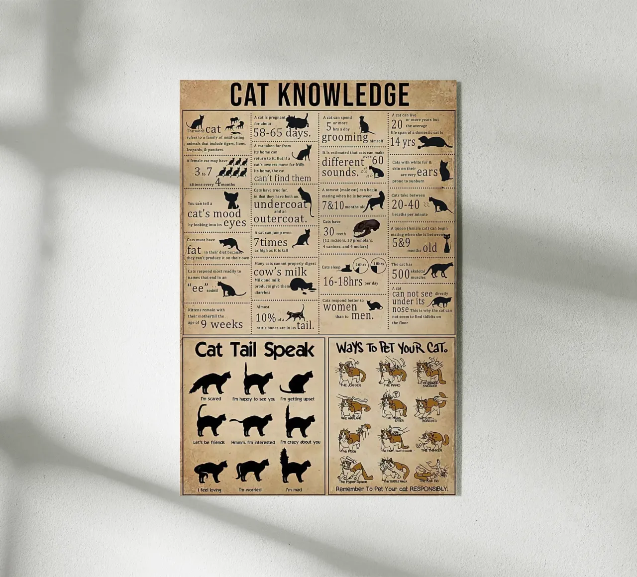 Cat Knowledge plexiglas de Maritiknowled