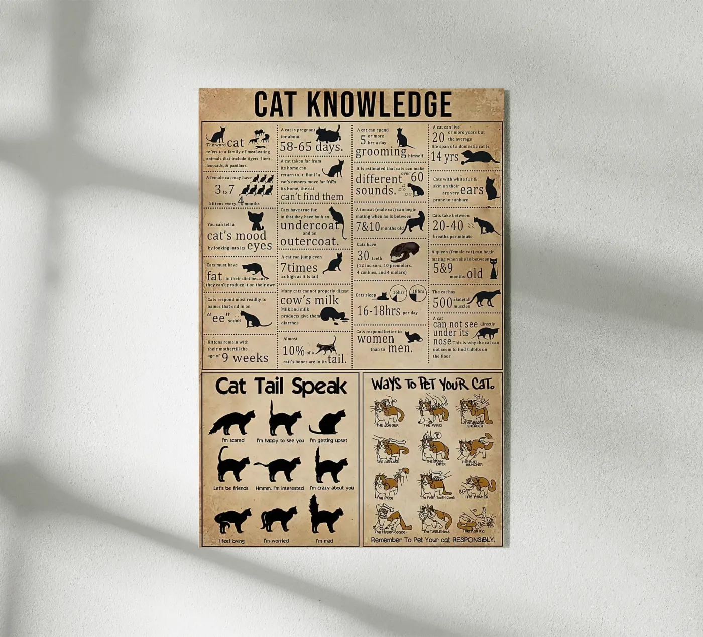 Cat Knowledge Acryl-Glas von Maritiknowled