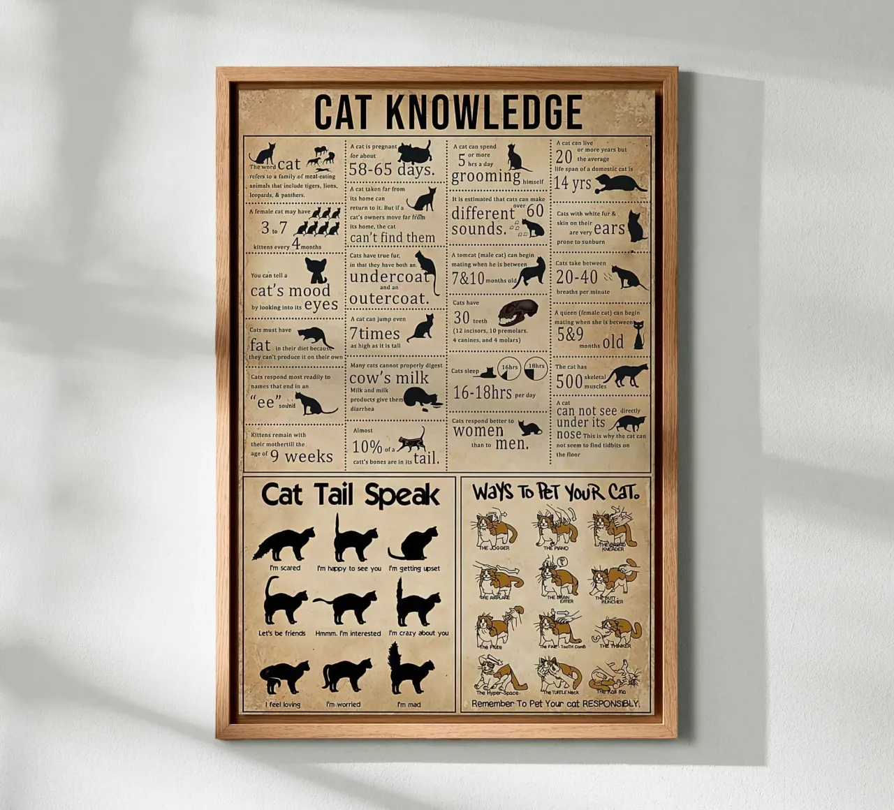 Cat Knowledge forex plate by Maritiknowled