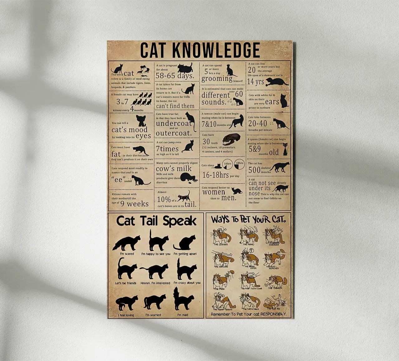 Cat Knowledge forex plate by Maritiknowled