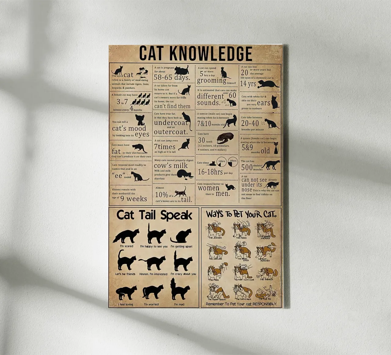 Cat Knowledge tela da Maritiknowled