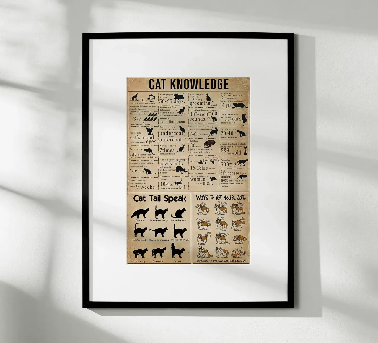 Cat Knowledge poster by Maritiknowled