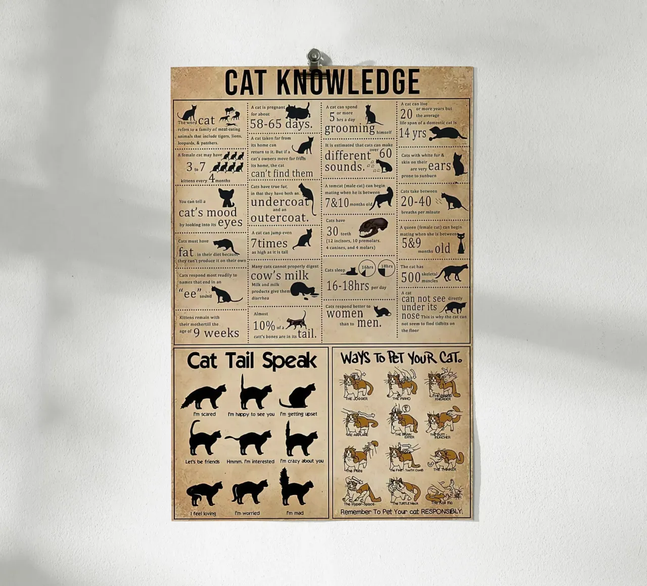 Cat Knowledge poster by Maritiknowled