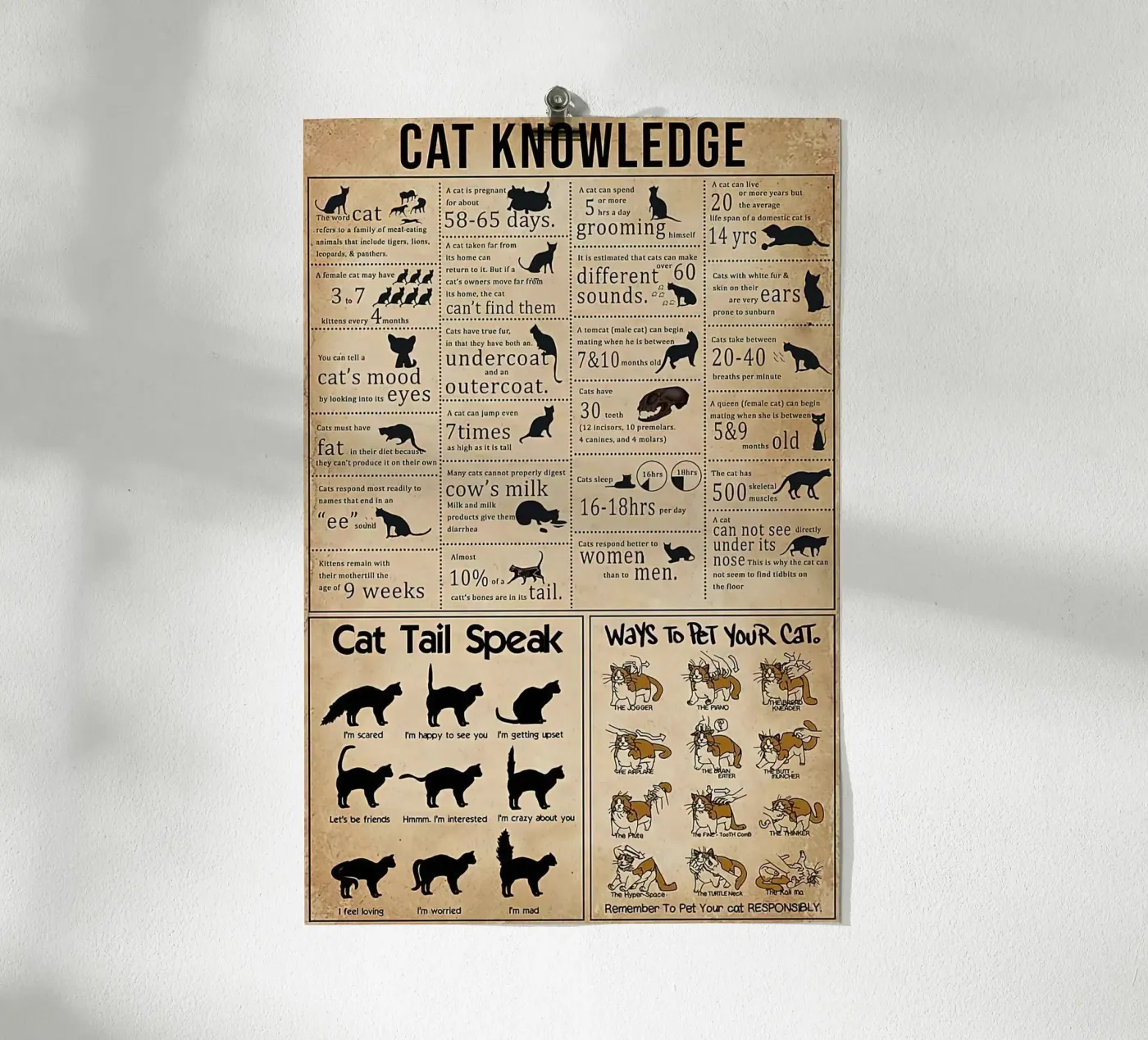 Cat Knowledge poster van Maritiknowled