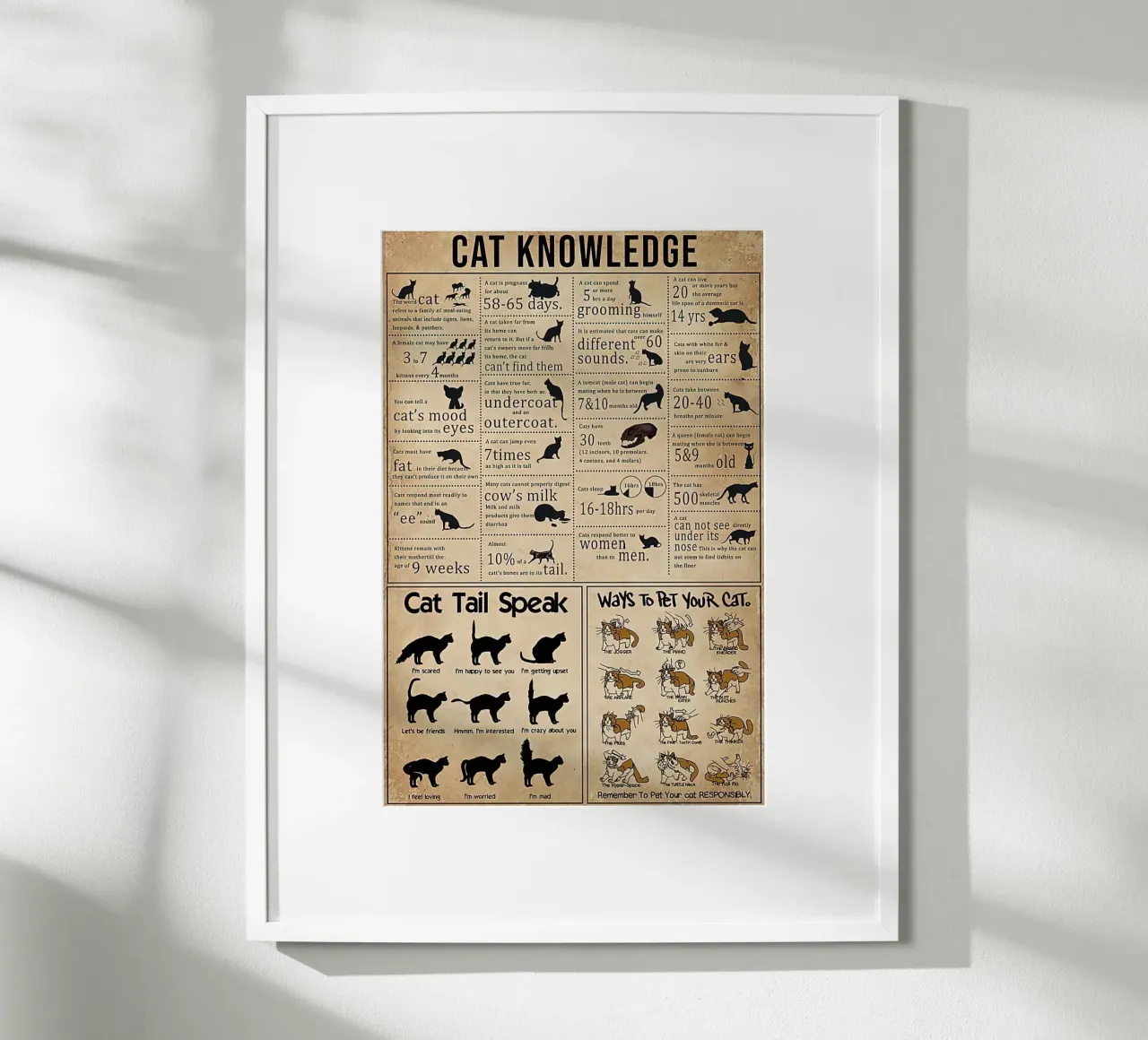 Cat Knowledge poster by Maritiknowled