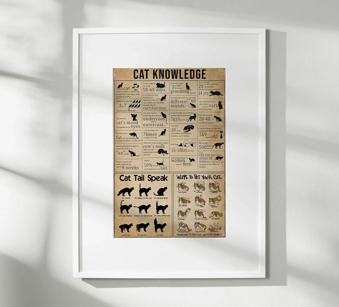 Cat Knowledge poster van Maritiknowled