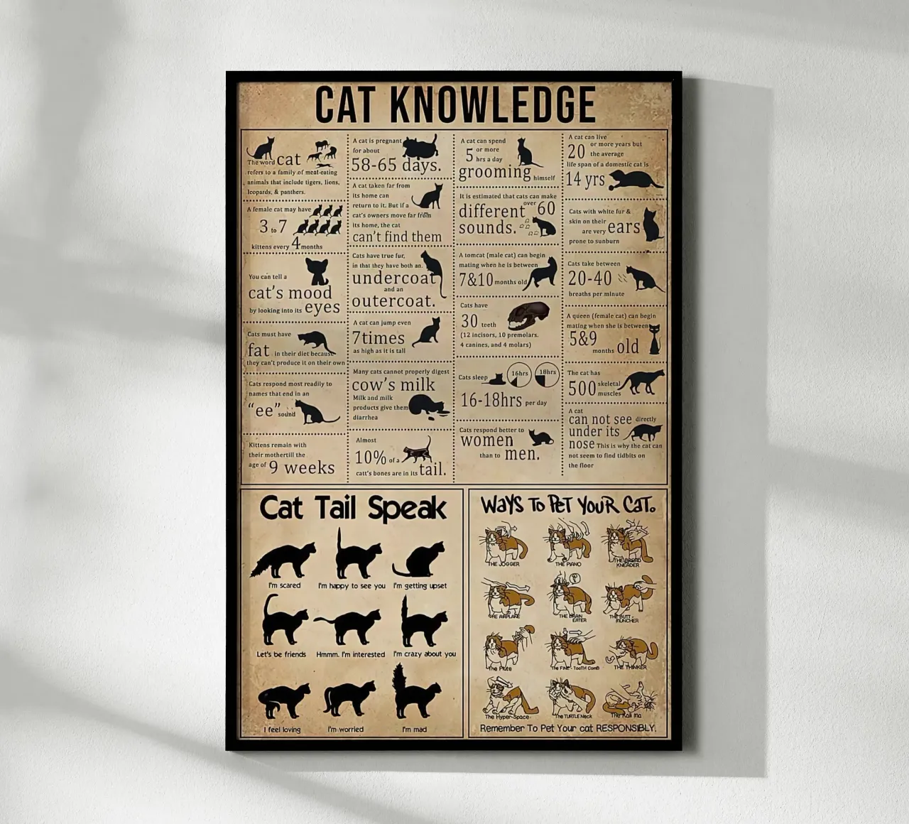 Cat Knowledge poster by Maritiknowled