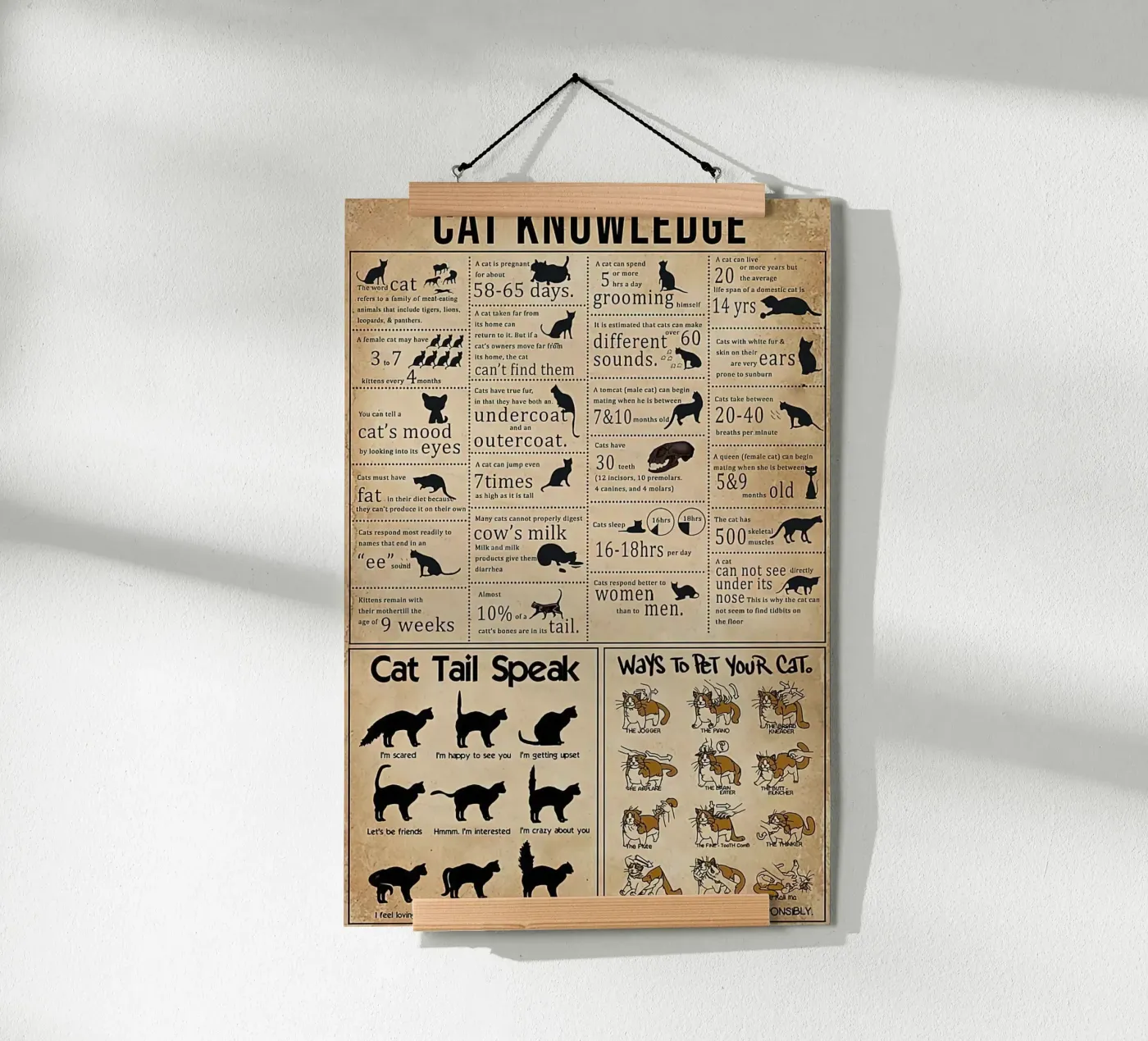 Cat Knowledge poster van Maritiknowled