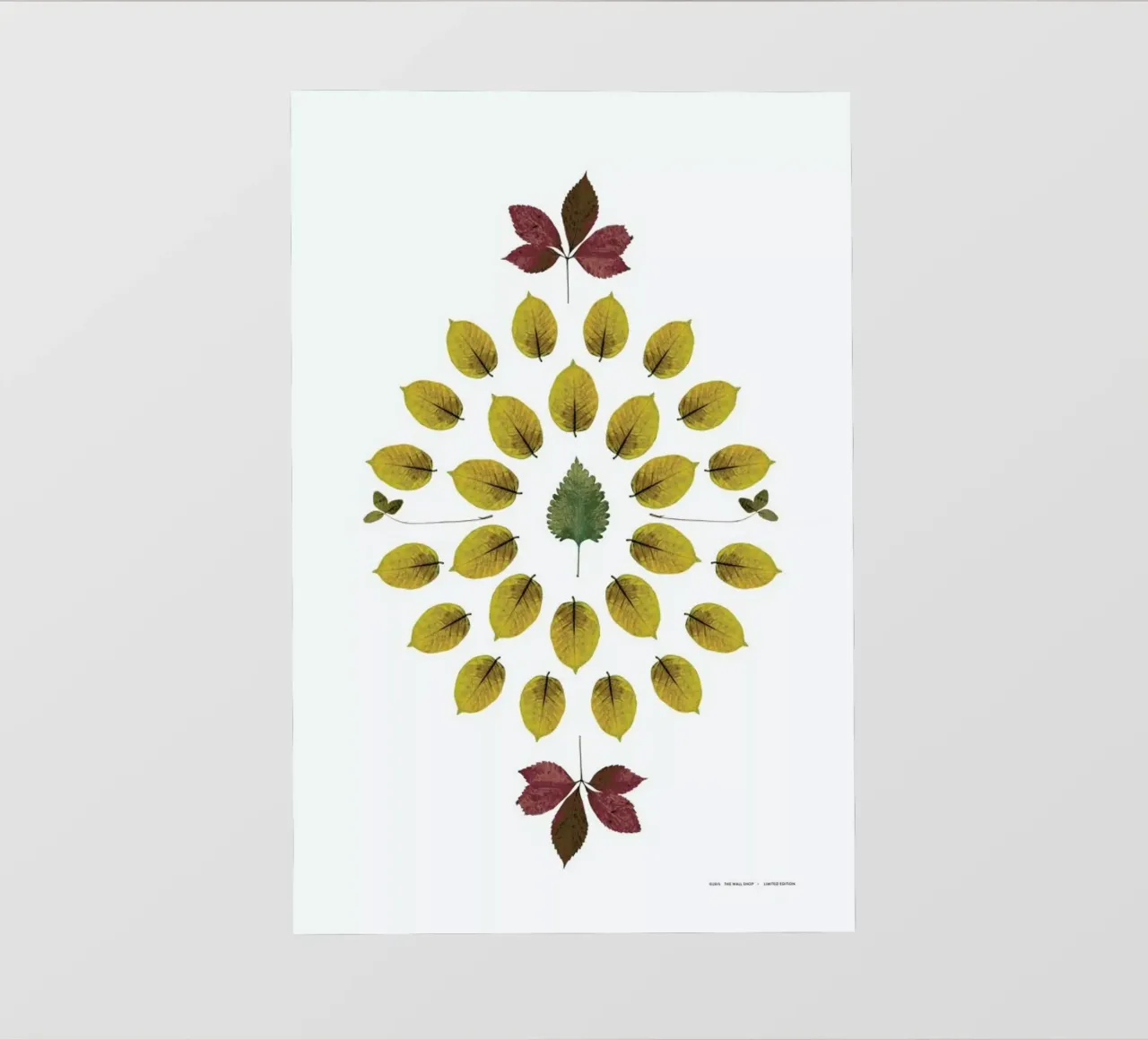 Botanicals 1 telo in pvc da The Wall Shop
