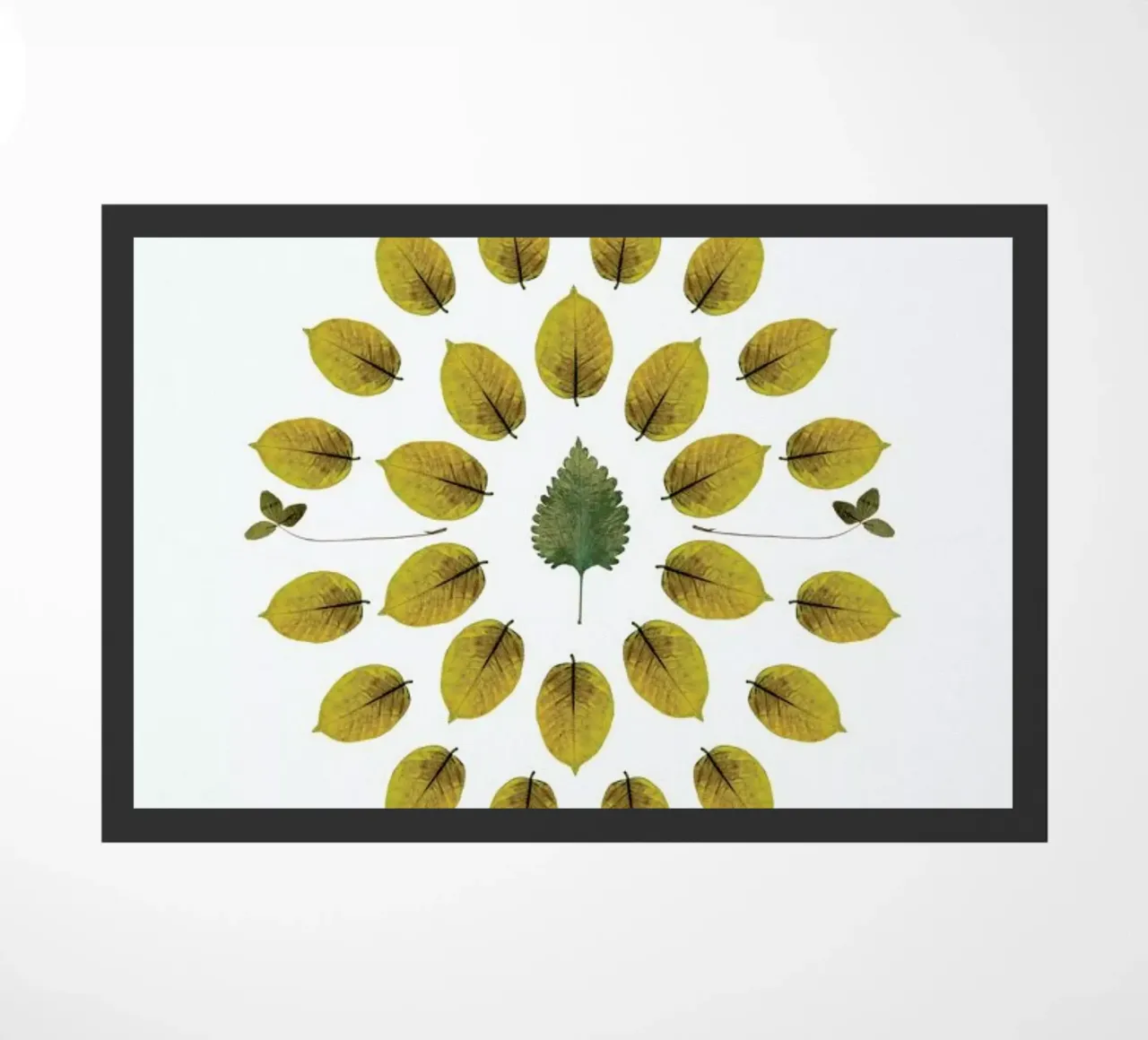 Botanicals 1 zerbino da The Wall Shop