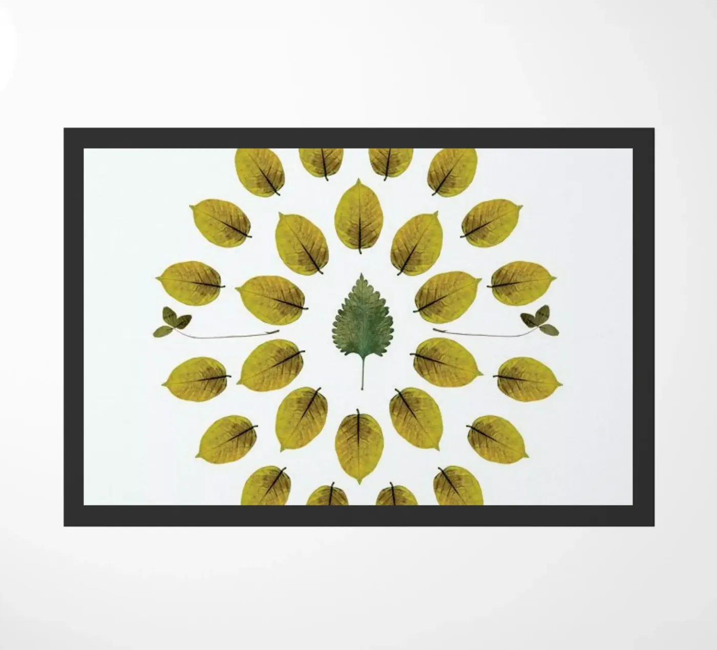 Botanicals 1 zerbino da The Wall Shop