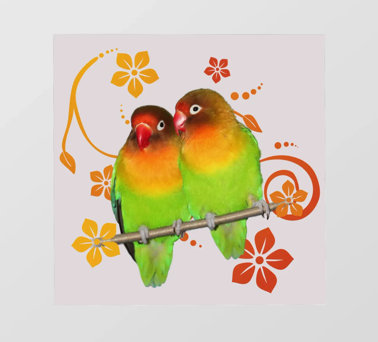 Two cute lovebirds pvc cover by BwiseLizzy