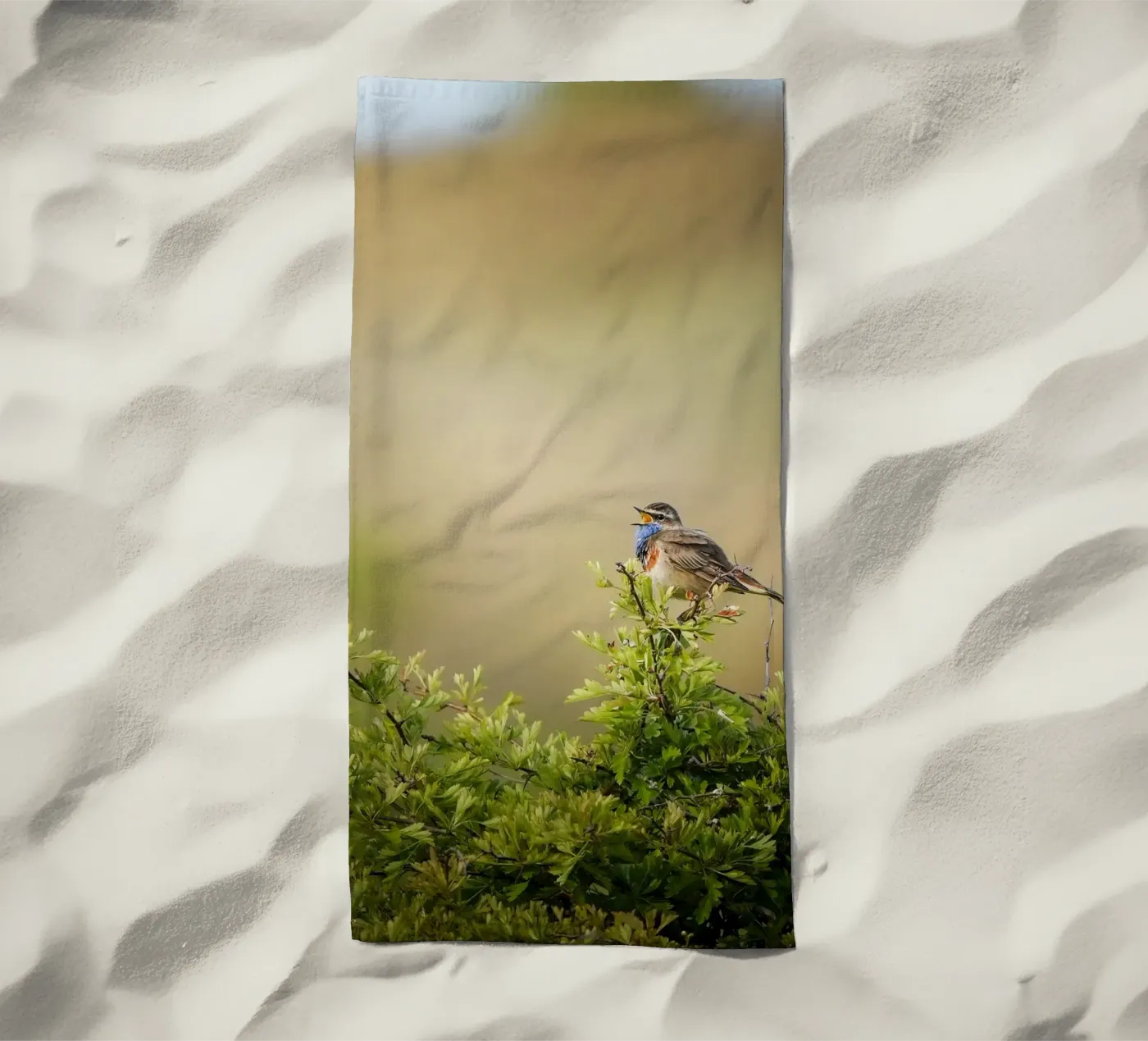 Blauwborst strandhanddoek van Tom's Wildlife