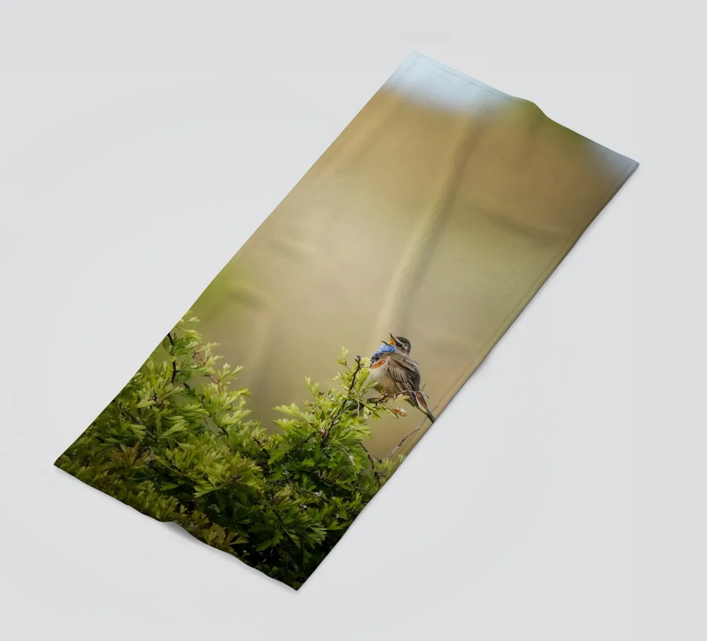 Blauwborst strandhanddoek van Tom's Wildlife