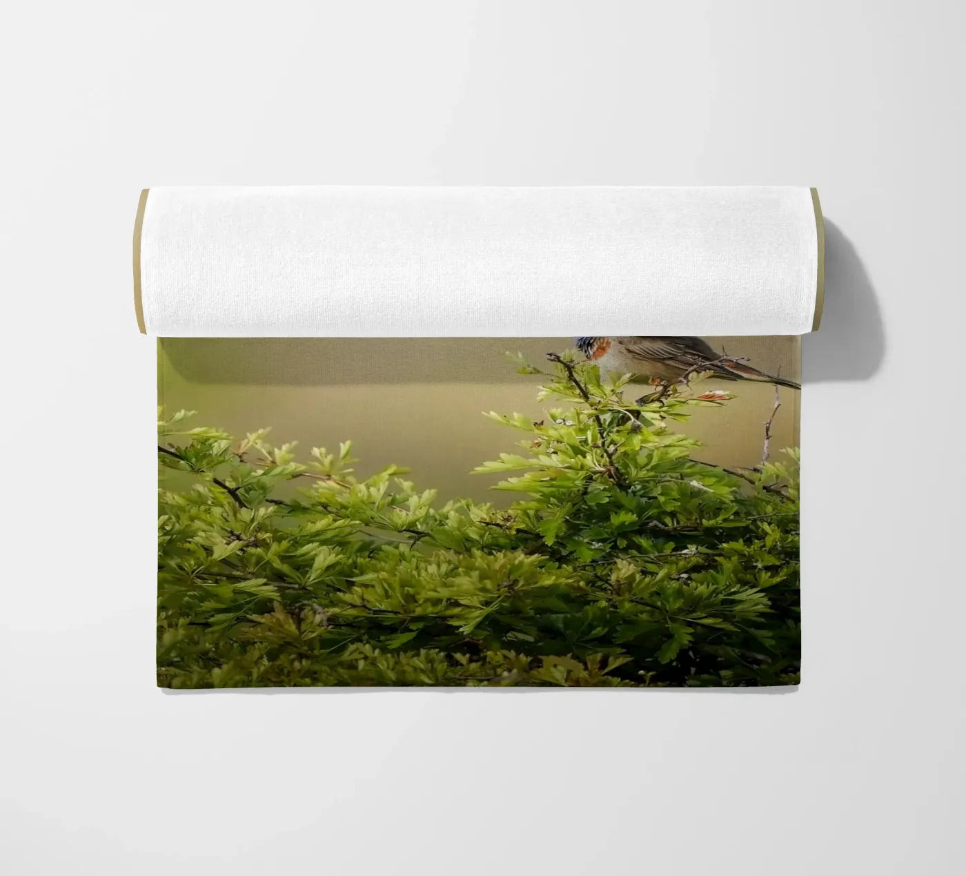 Blauwborst strandhanddoek van Tom's Wildlife