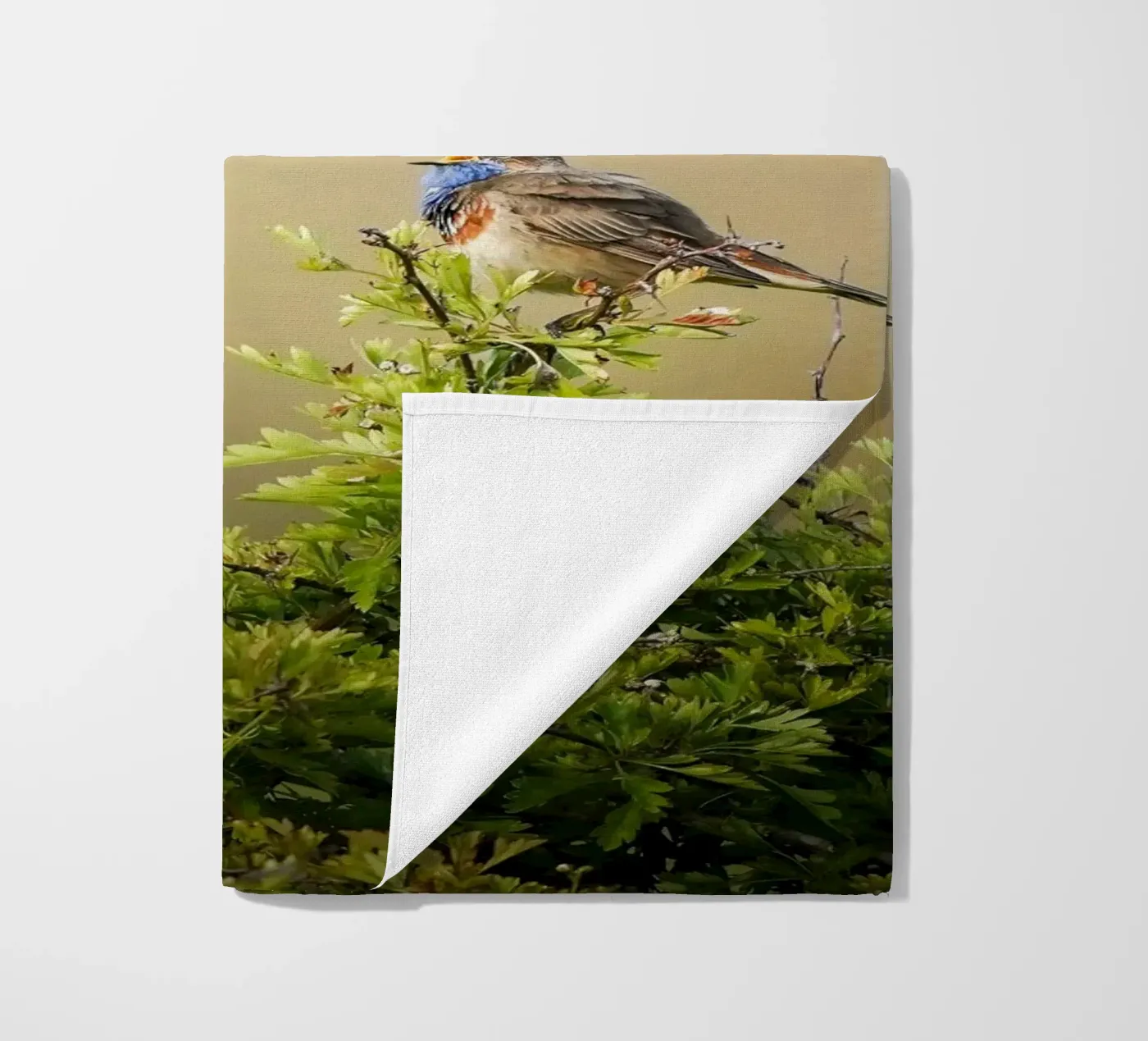 Blauwborst strandhanddoek van Tom's Wildlife