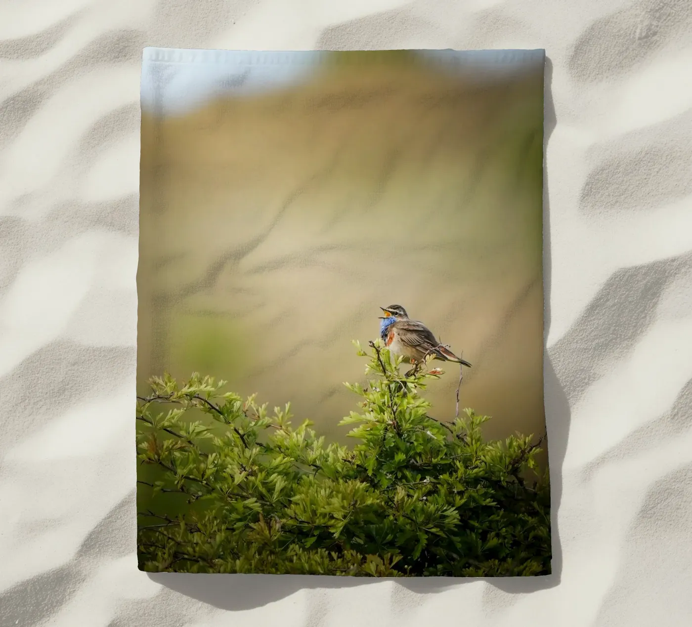 Blauwborst strandhanddoek van Tom's Wildlife