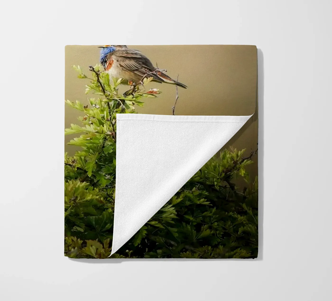 Blauwborst strandhanddoek van Tom's Wildlife