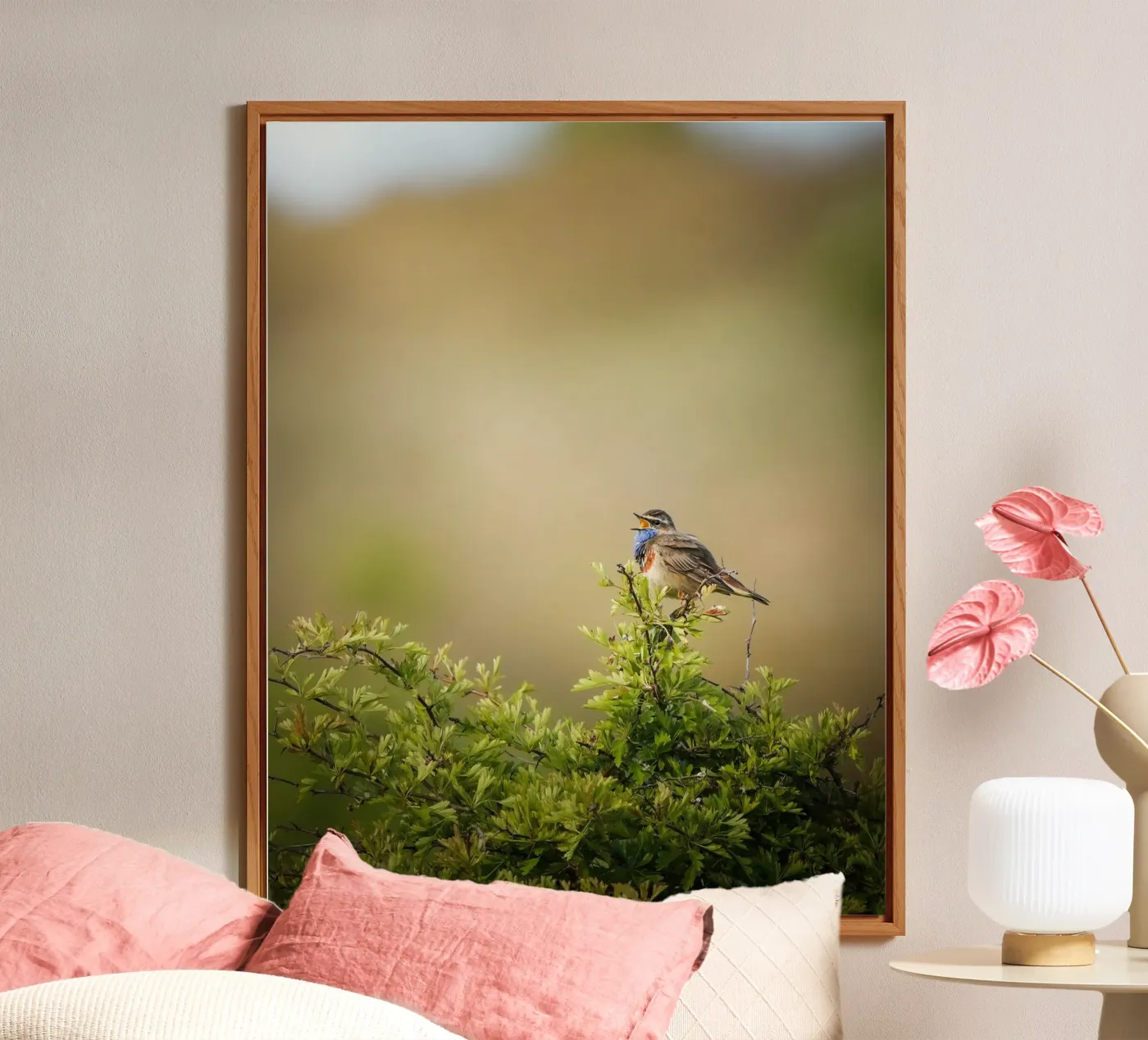 Bluethroat pannello forex da Tom's Wildlife