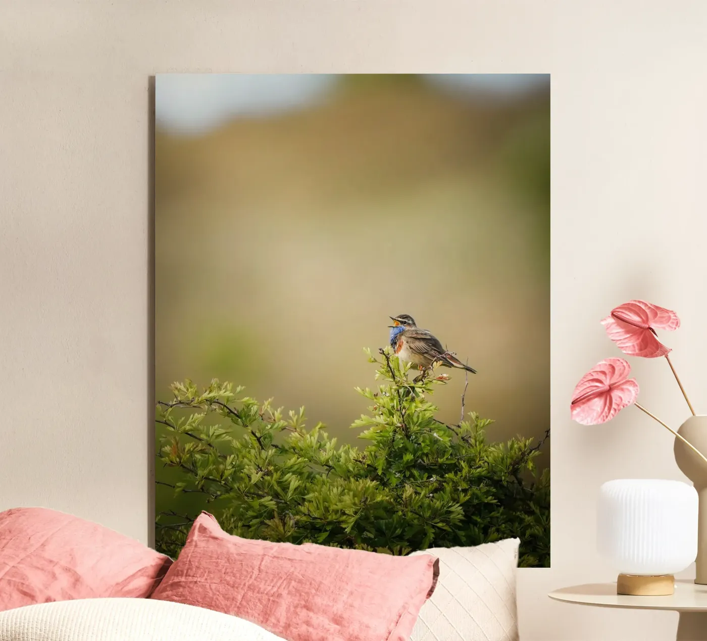 Bluethroat pannello forex da Tom's Wildlife