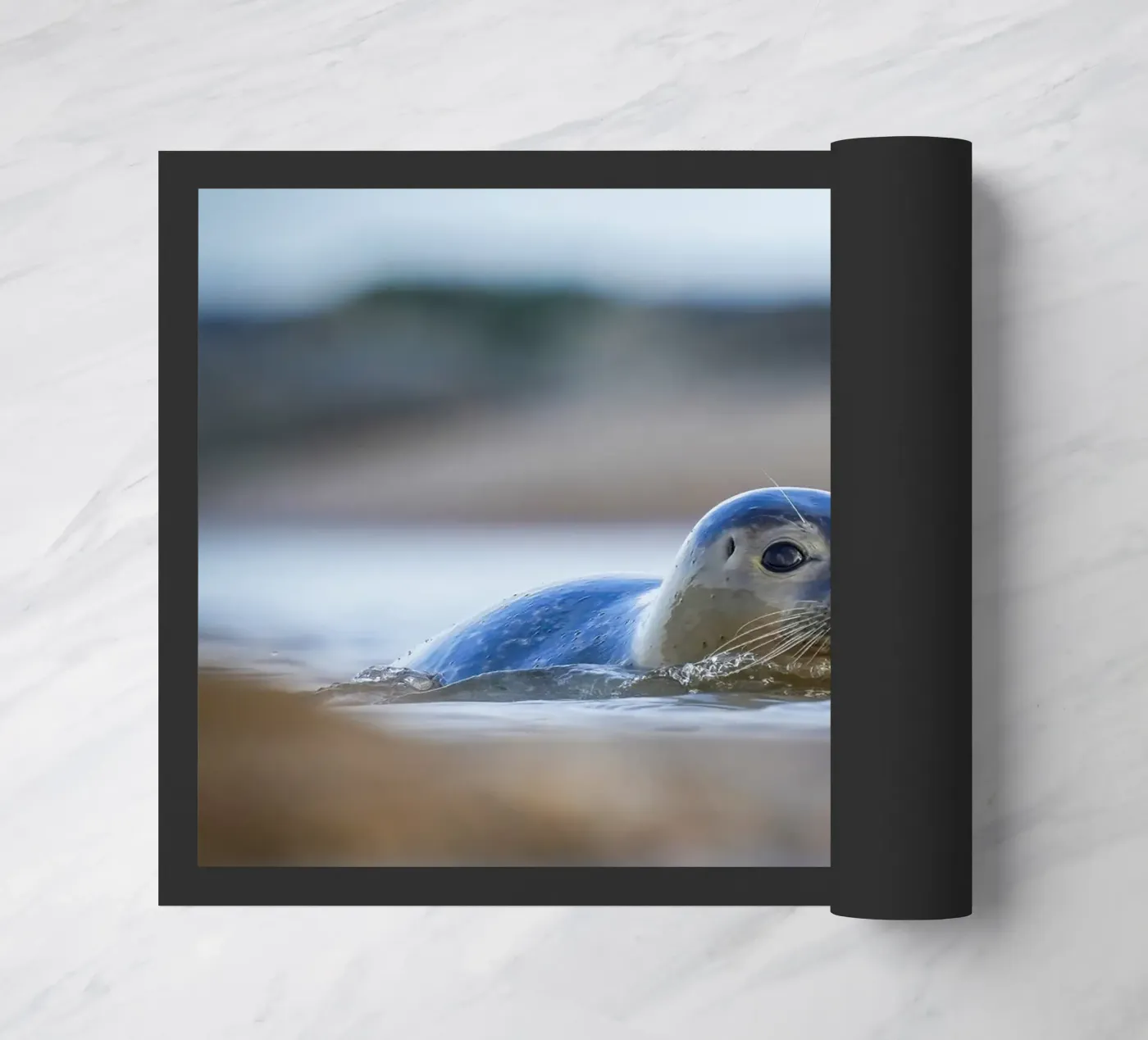 Seal Fußmatte von Tom's Wildlife