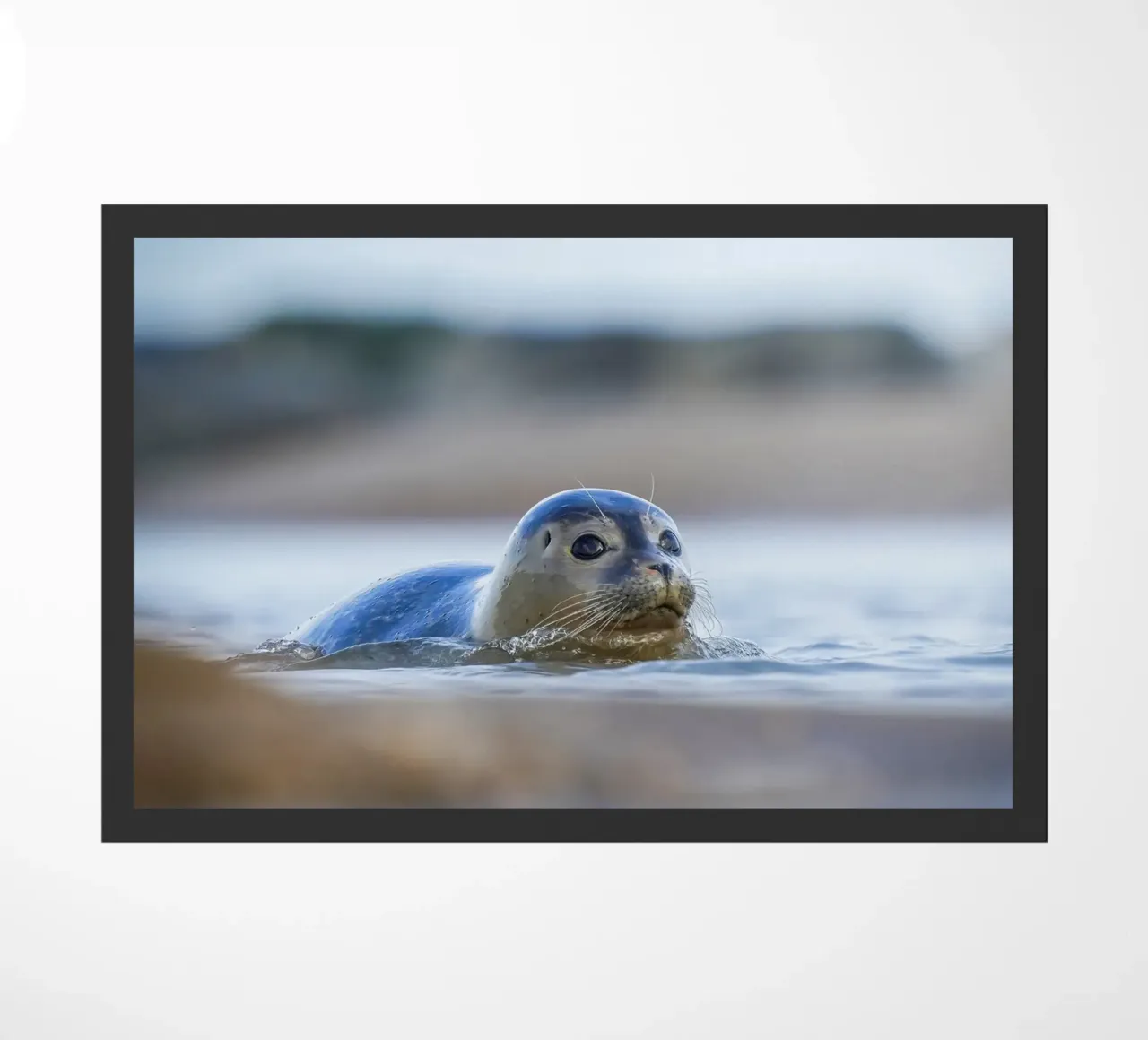 Afdichting deurmat van Tom's Wildlife