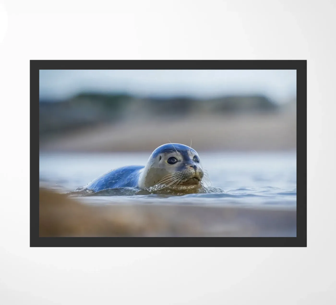 Seal Fußmatte von Tom's Wildlife