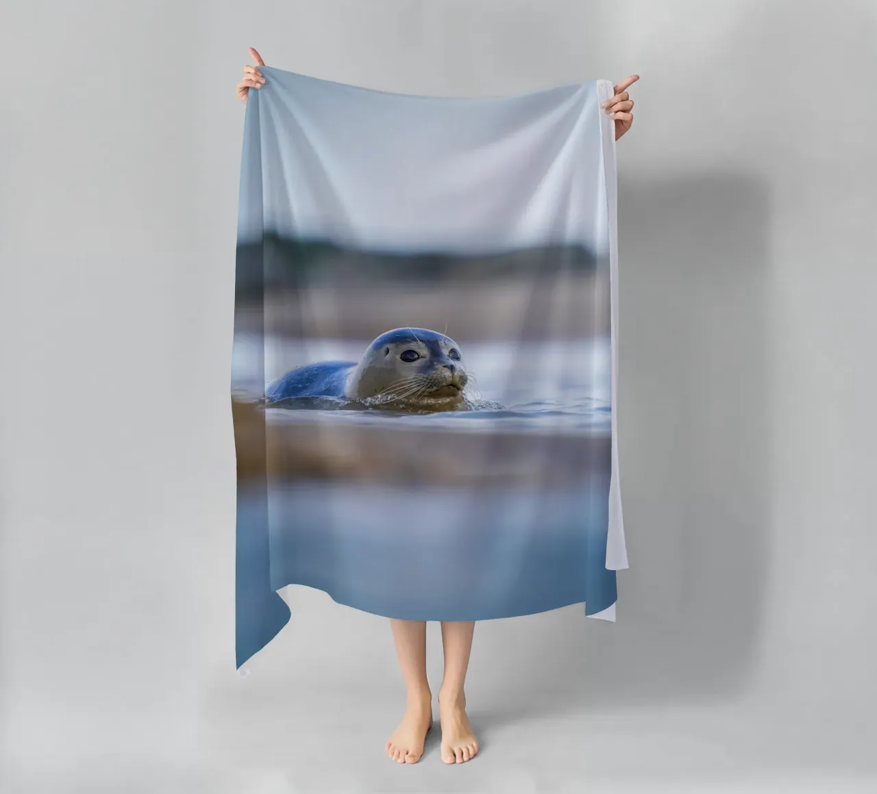 Sigillo telo mare da Tom's Wildlife