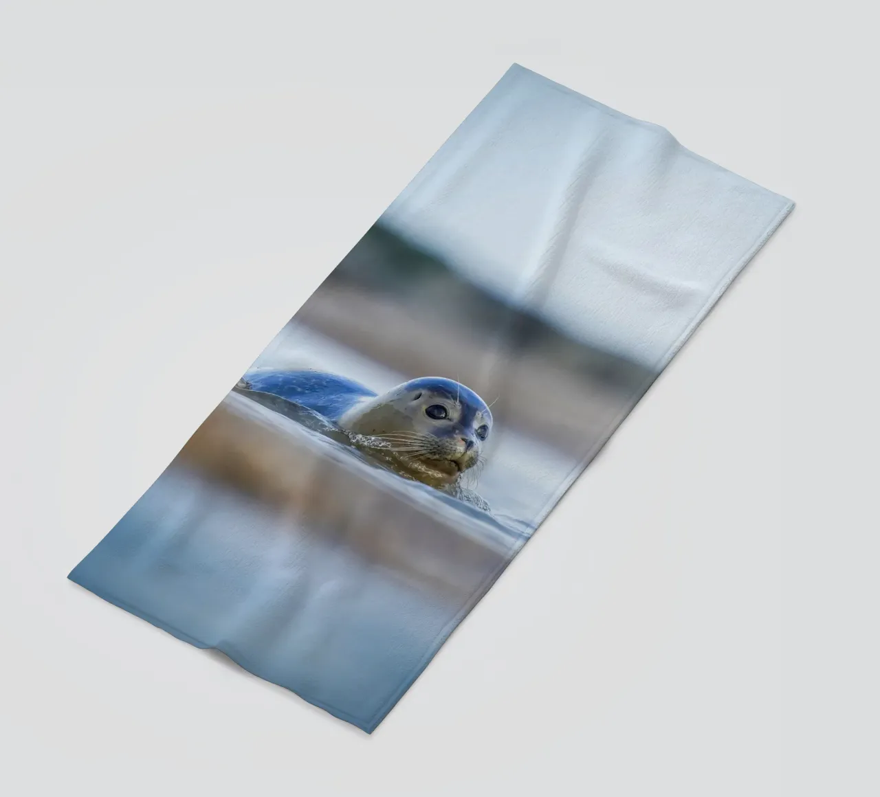 Sigillo telo mare da Tom's Wildlife