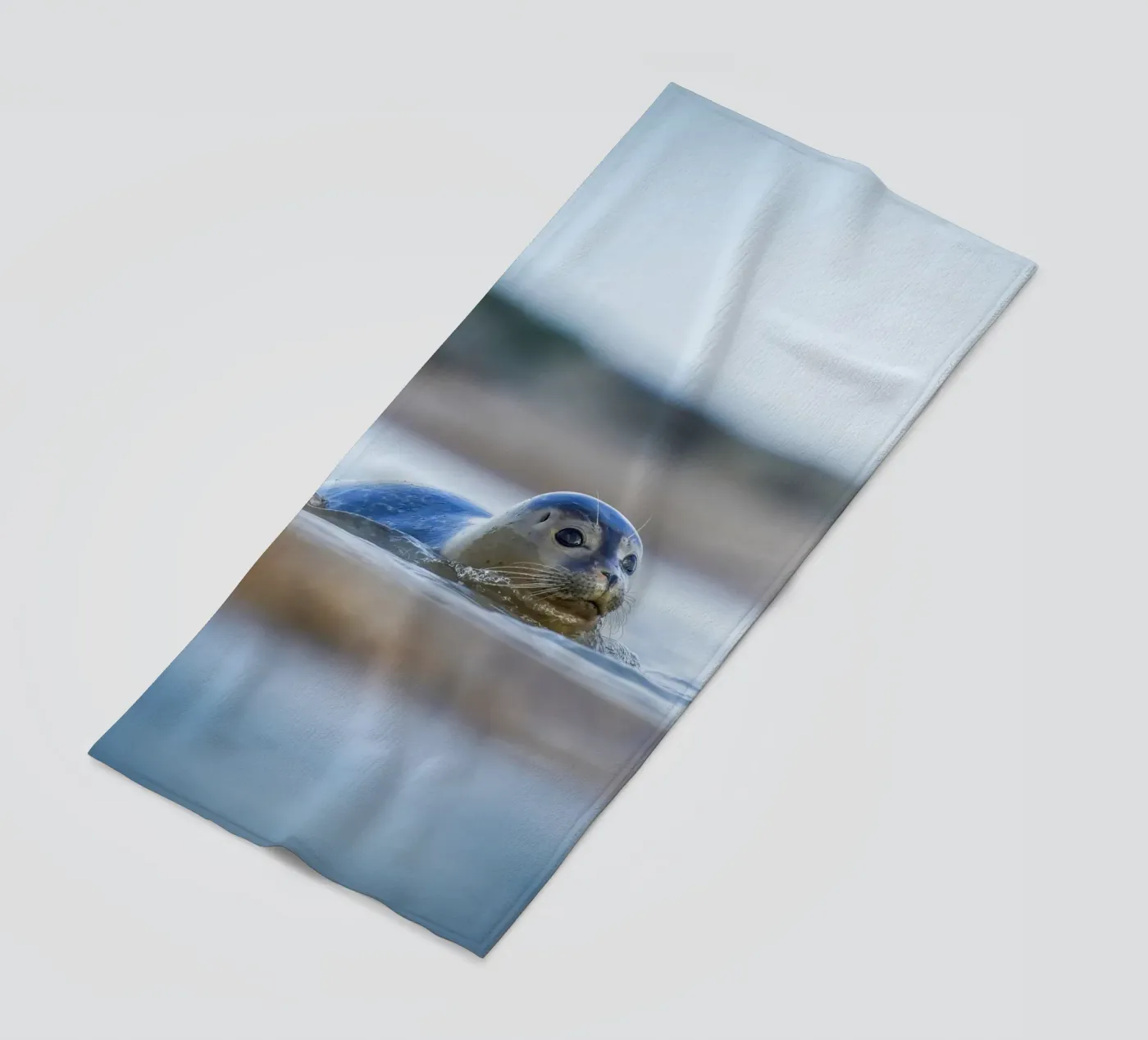 Sigillo telo mare da Tom's Wildlife