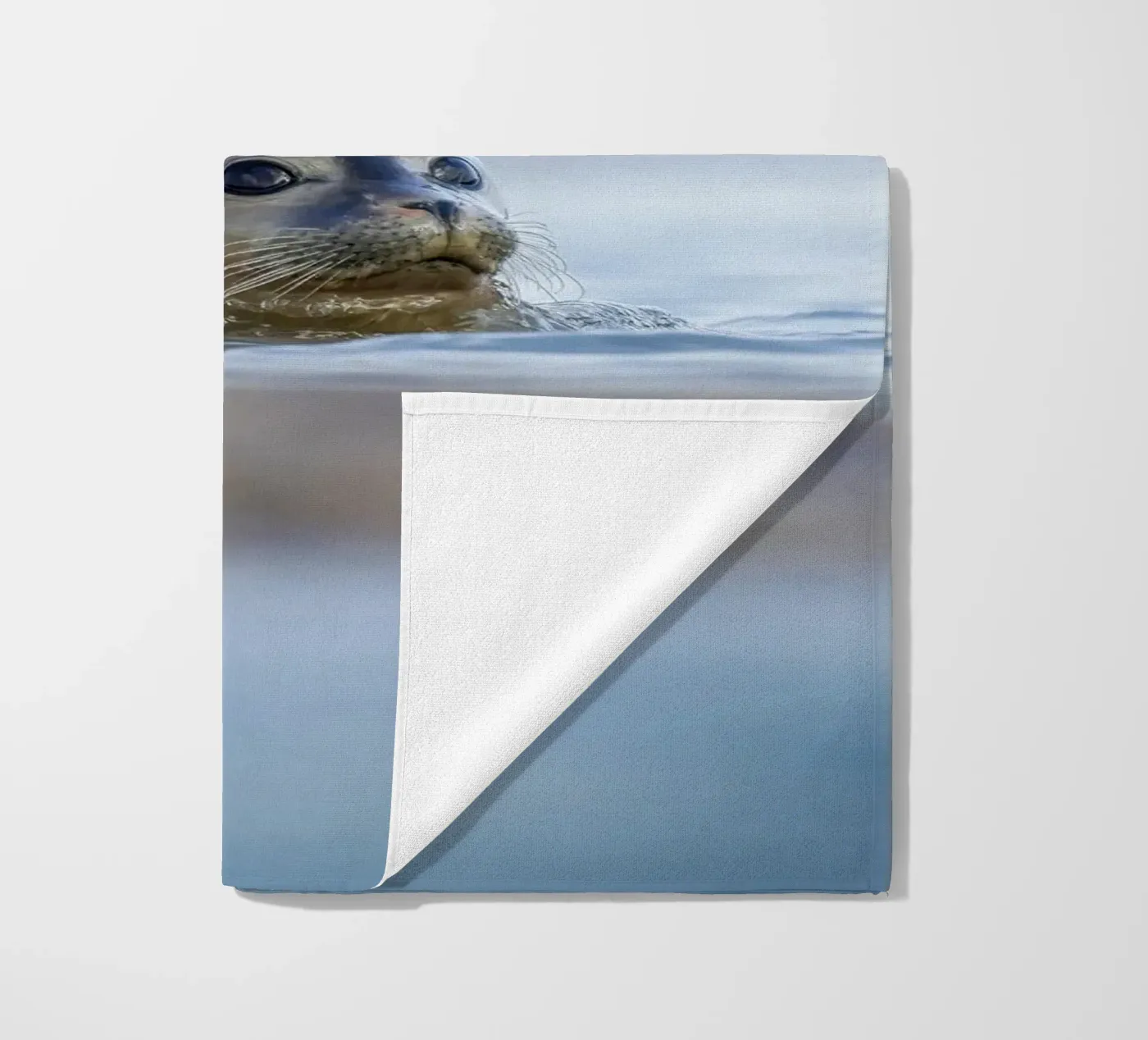 Sigillo telo mare da Tom's Wildlife