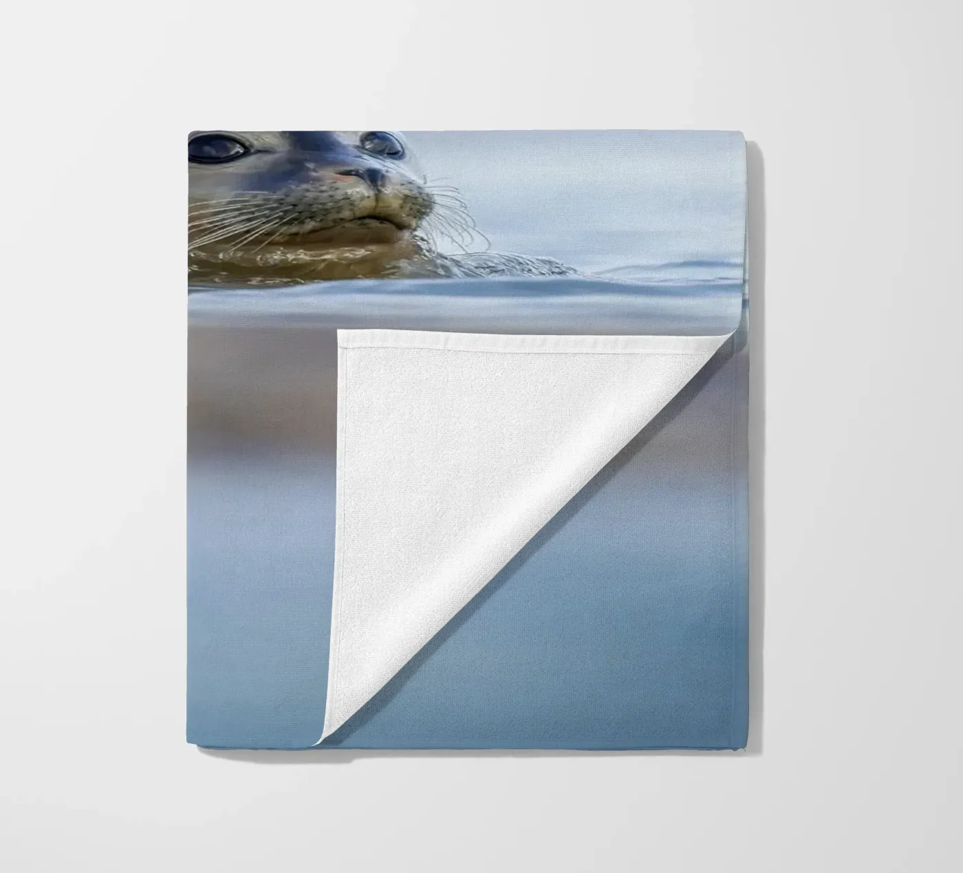 Sigillo telo mare da Tom's Wildlife
