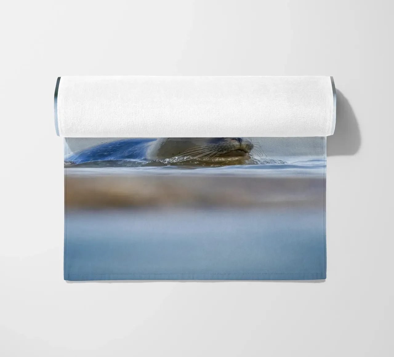 Sigillo telo mare da Tom's Wildlife