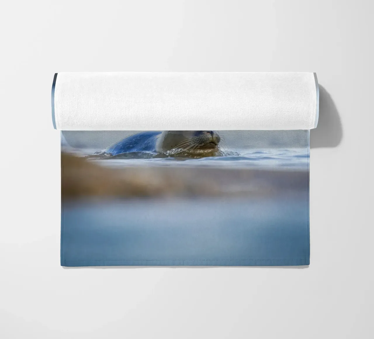 Sigillo telo mare da Tom's Wildlife