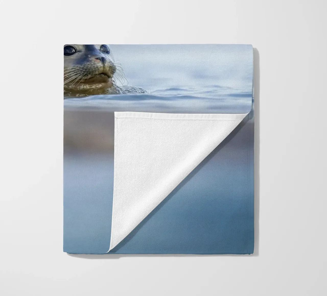 Sigillo telo mare da Tom's Wildlife