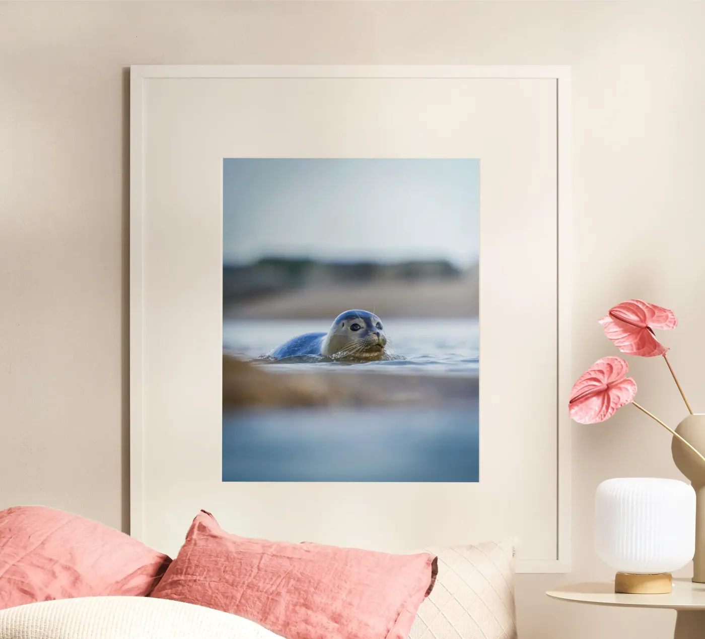 Seal poster by Tom's Wildlife