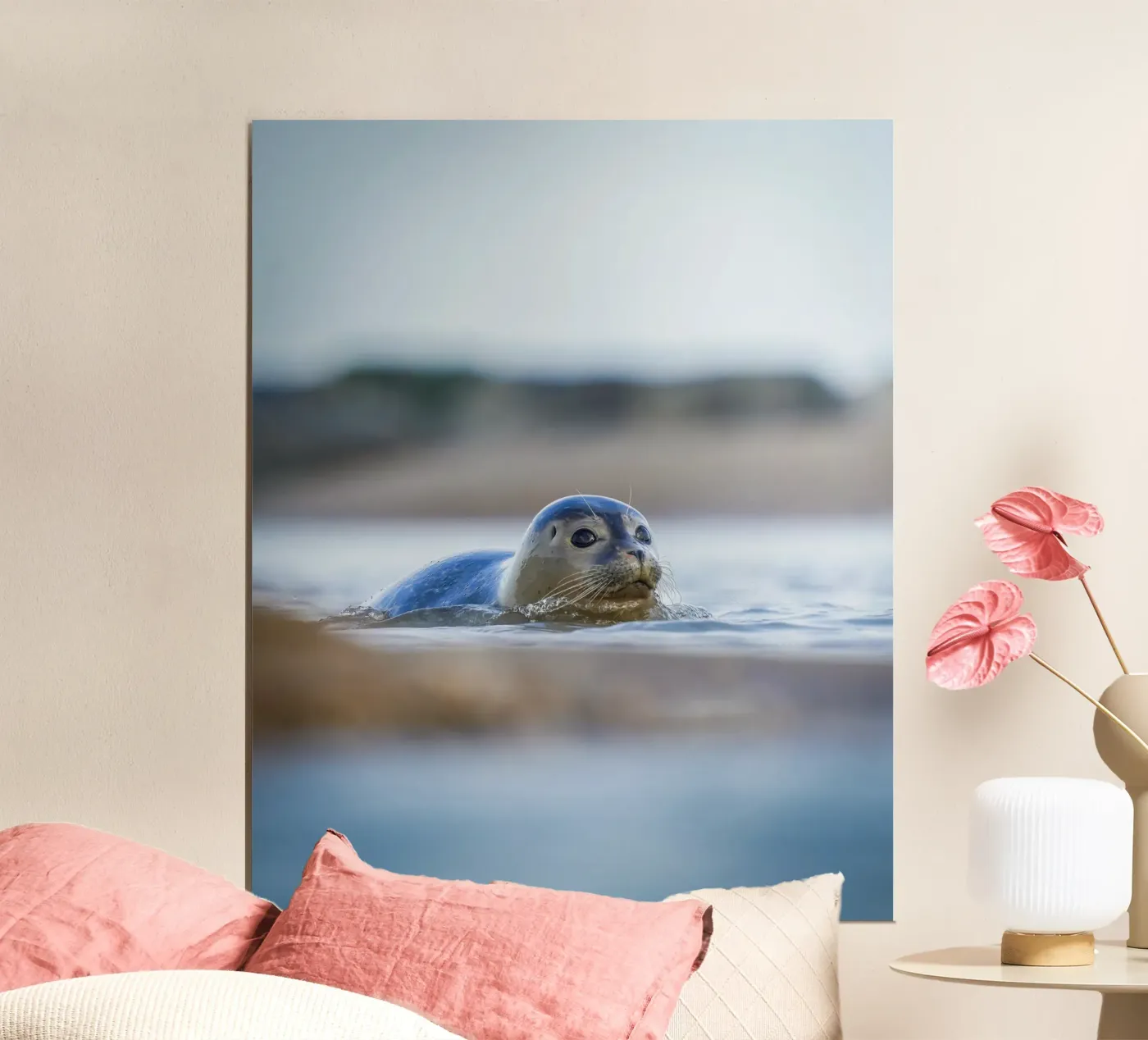 Seal poster by Tom's Wildlife