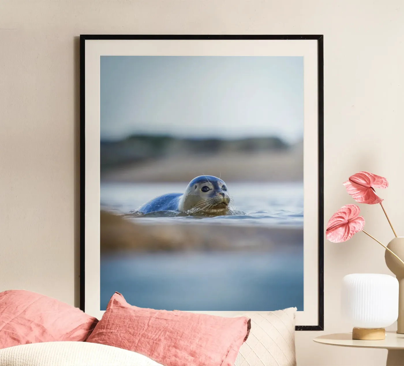 Seal poster by Tom's Wildlife