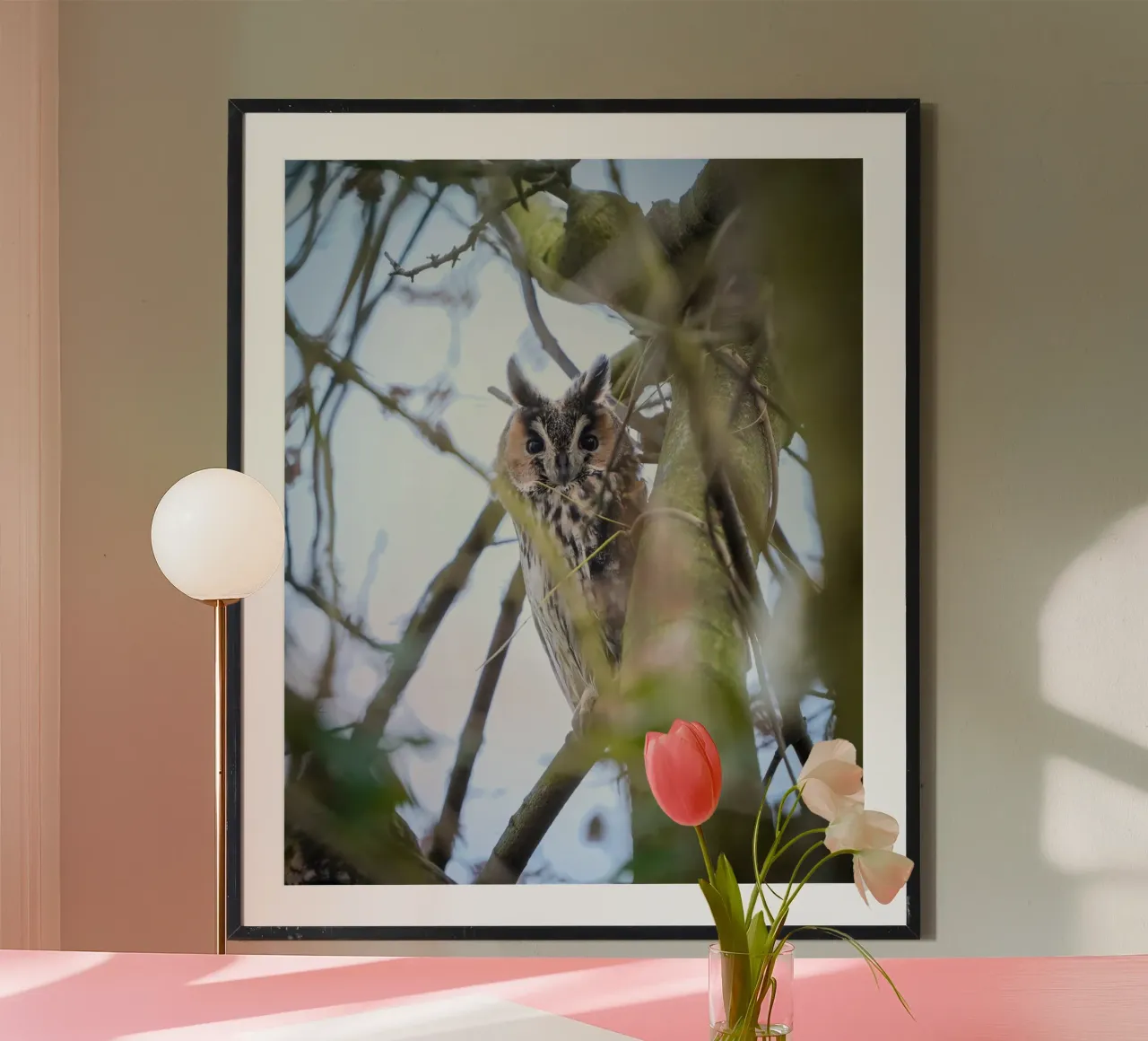 Gufo comune poster da Tom's Wildlife