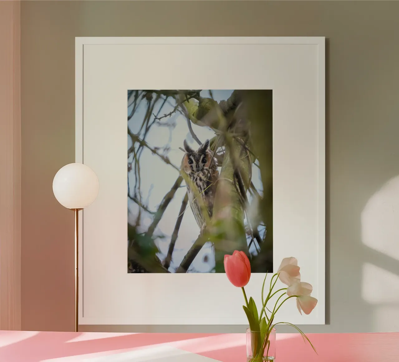 Gufo comune poster da Tom's Wildlife