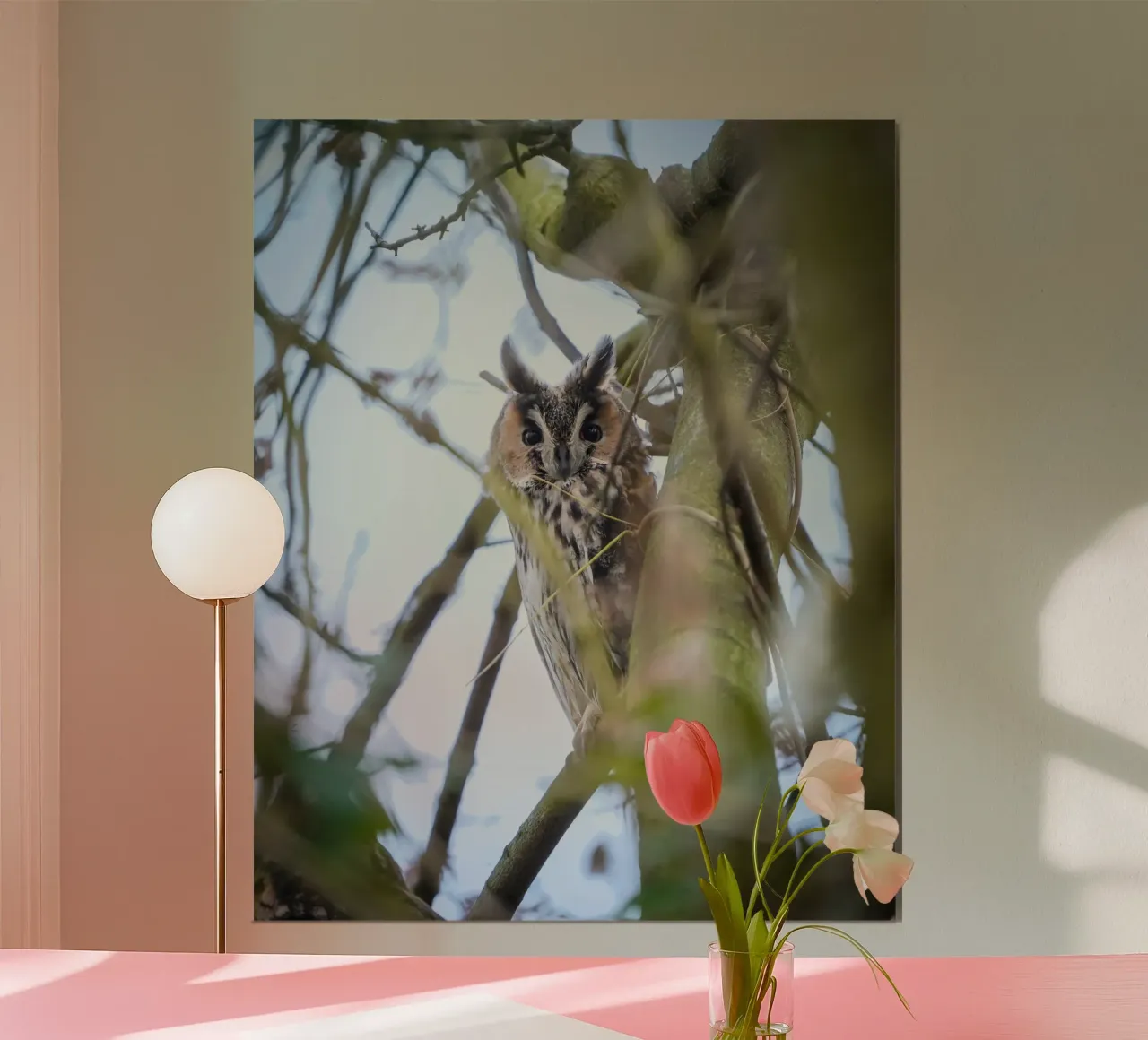 Gufo comune poster da Tom's Wildlife