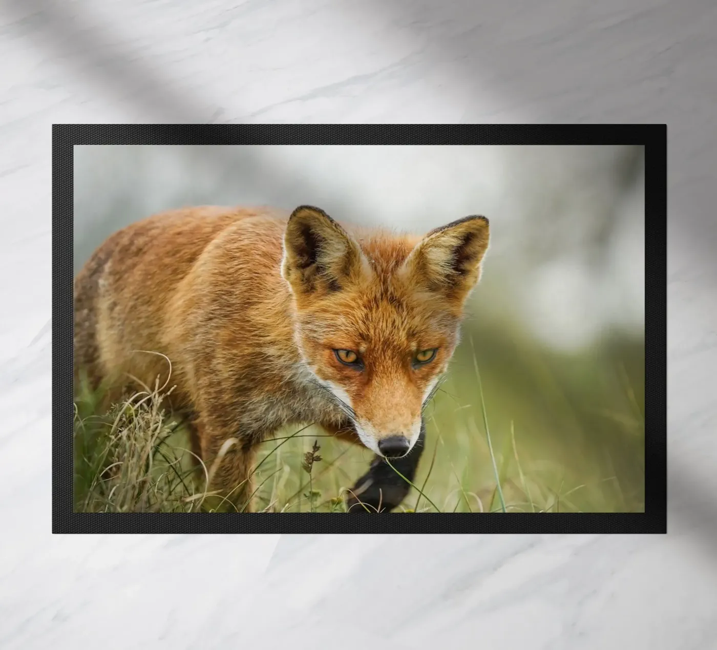 Red fox deurmat van Tom's Wildlife