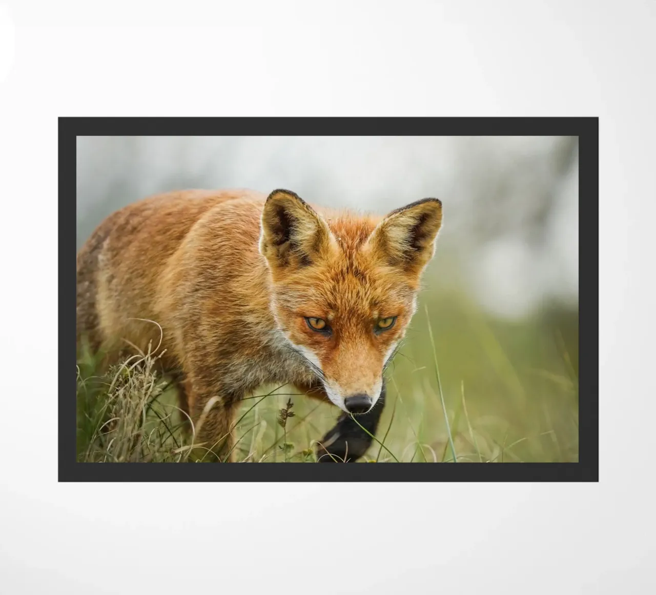 Rotfuchs Fußmatte von Tom's Wildlife